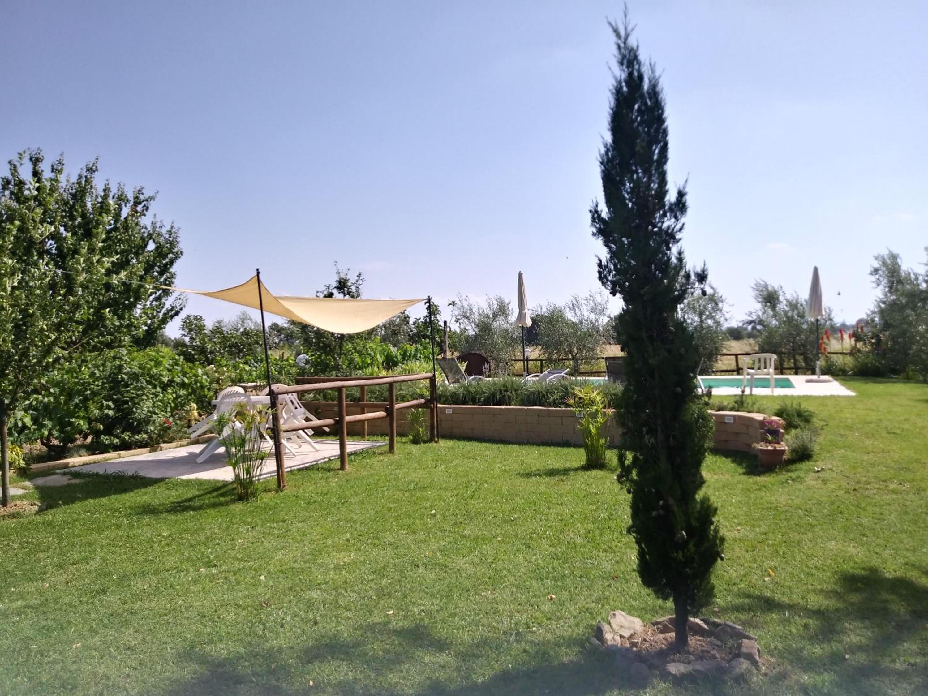 Photo 43