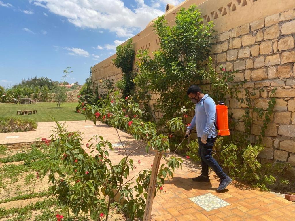 Kom El Dikka Agri Lodge view 4