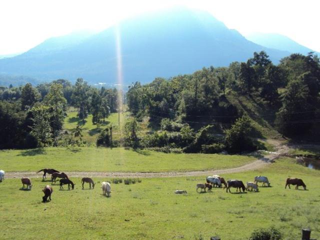 Agriturismo Il Balcone sulla Valle view 5