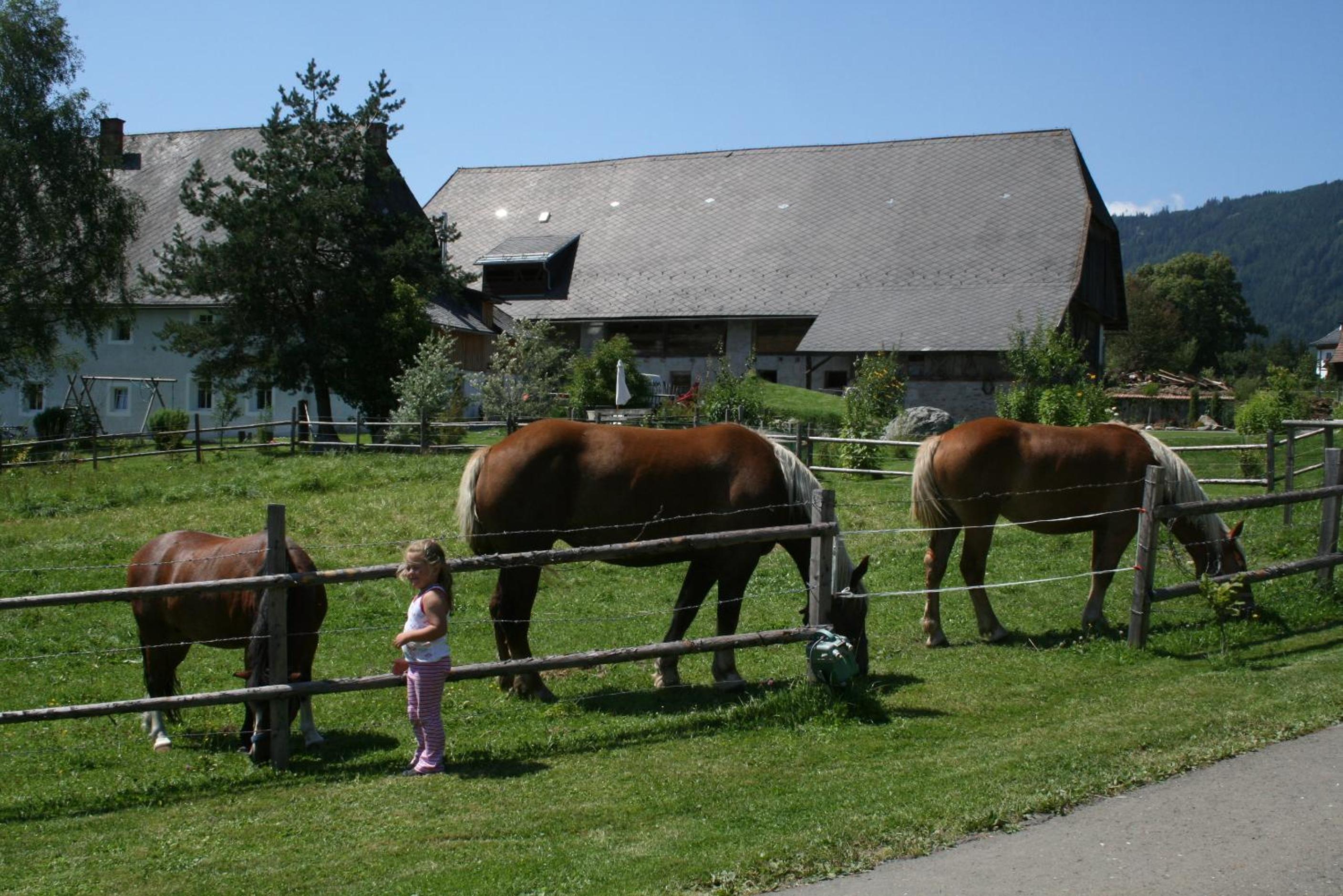 Urlaub am Bio-Bauernhof Liebchen