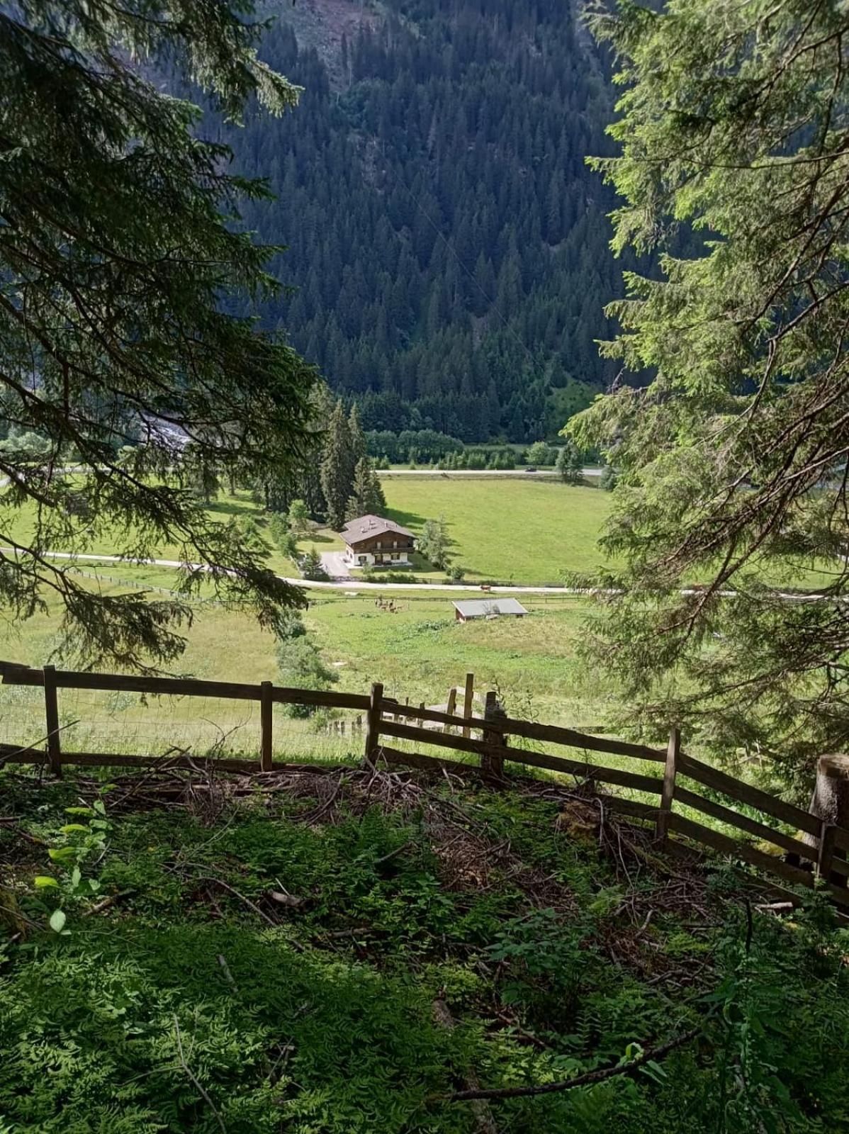 Donneralm