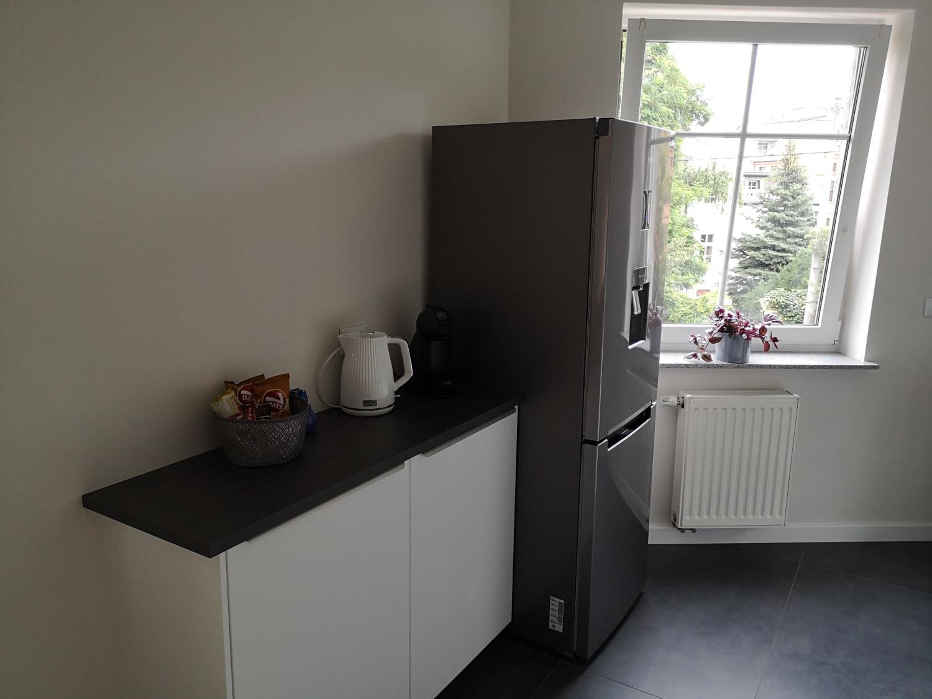 RiC Apart - Apartament Mostowa, centrum Poznań - parking - klimatyzacja view 4