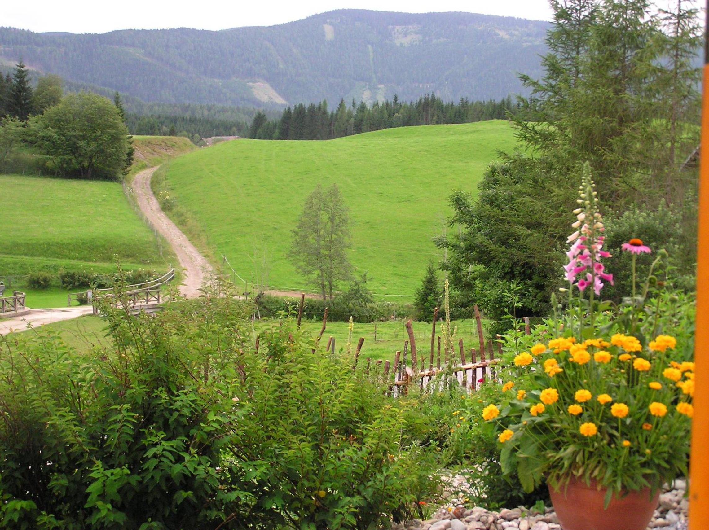 Urlaub am Bio-Bauernhof Liebchen