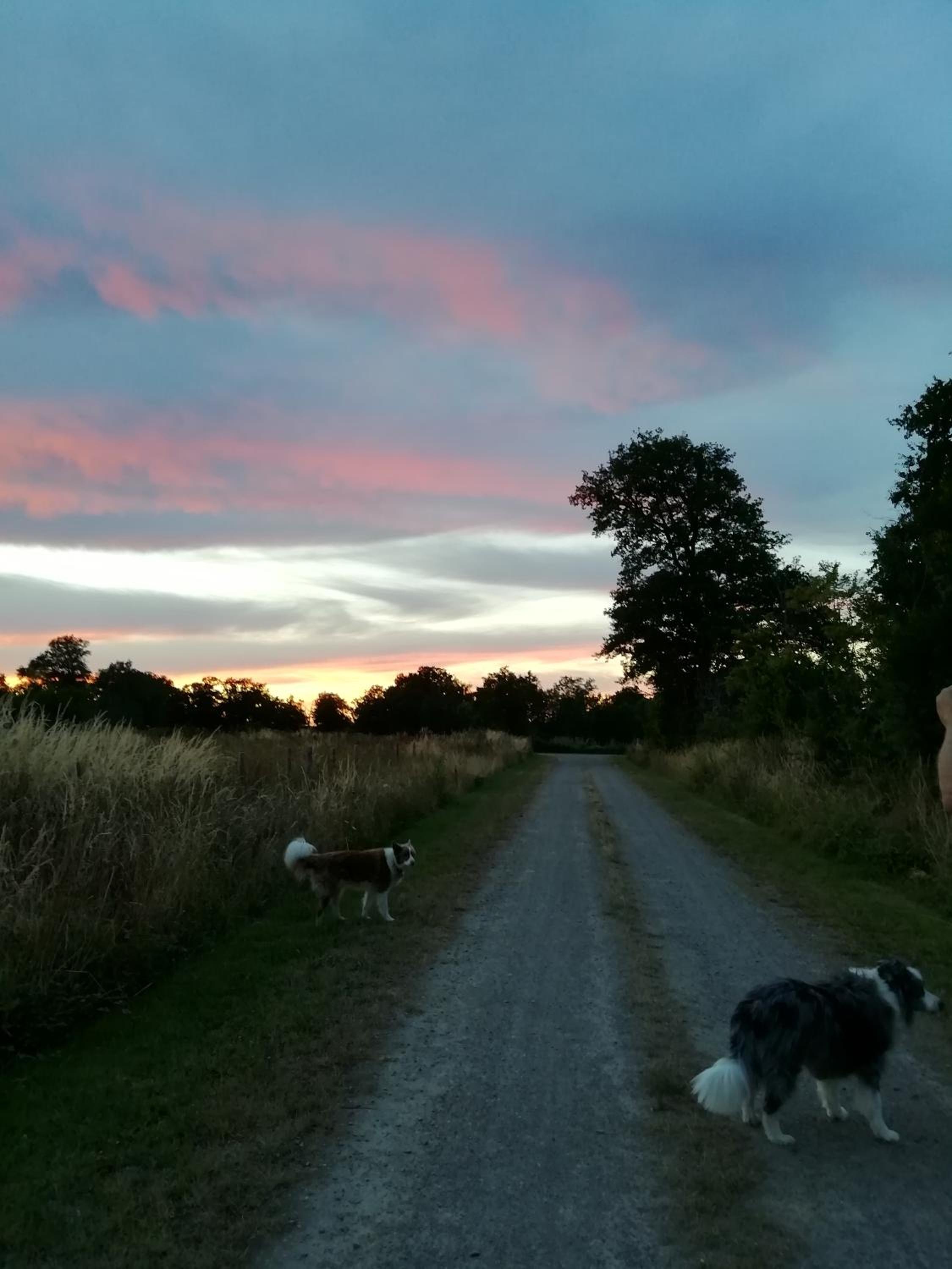 Chez Pastuso view 2