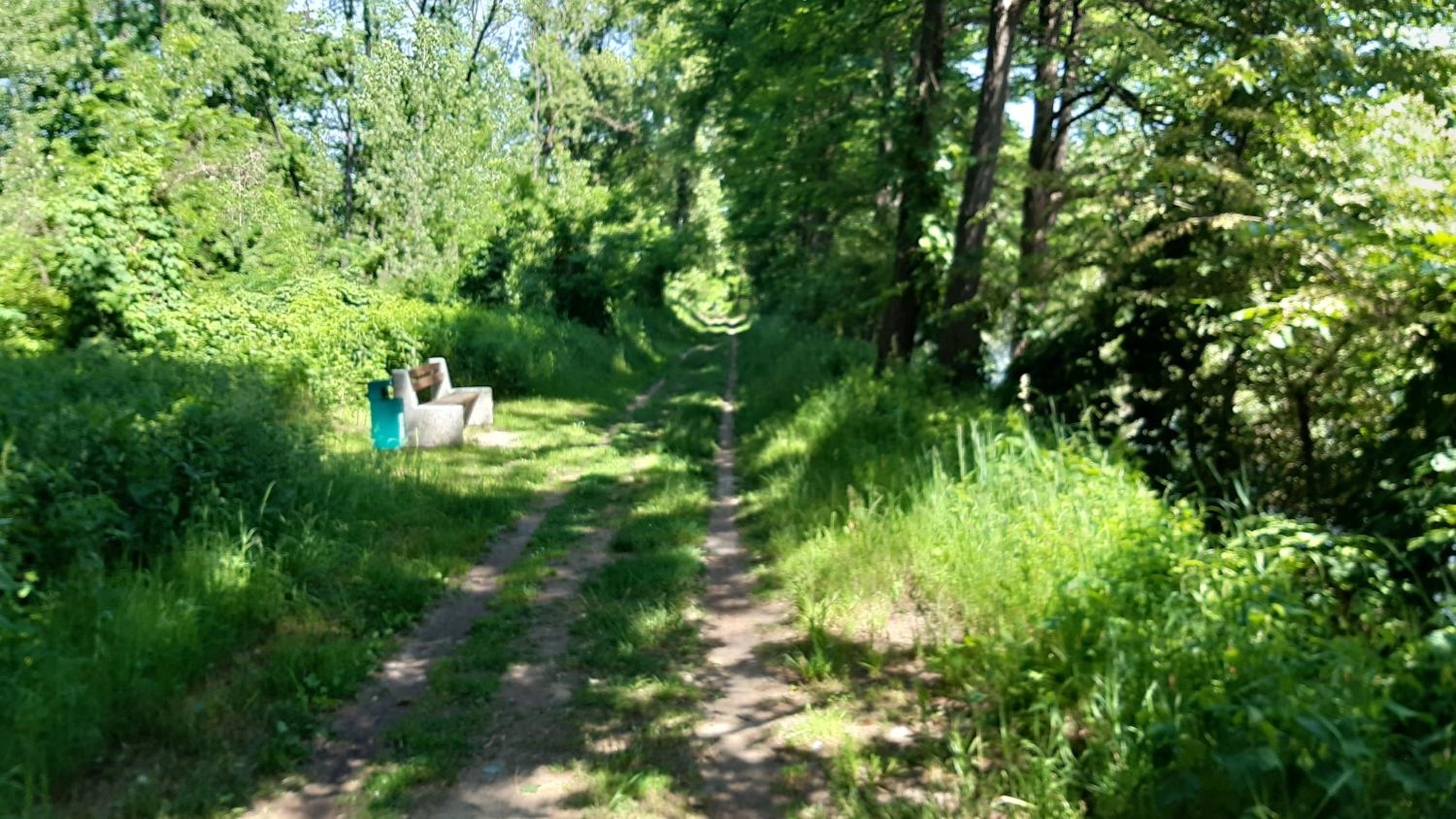Photo 29