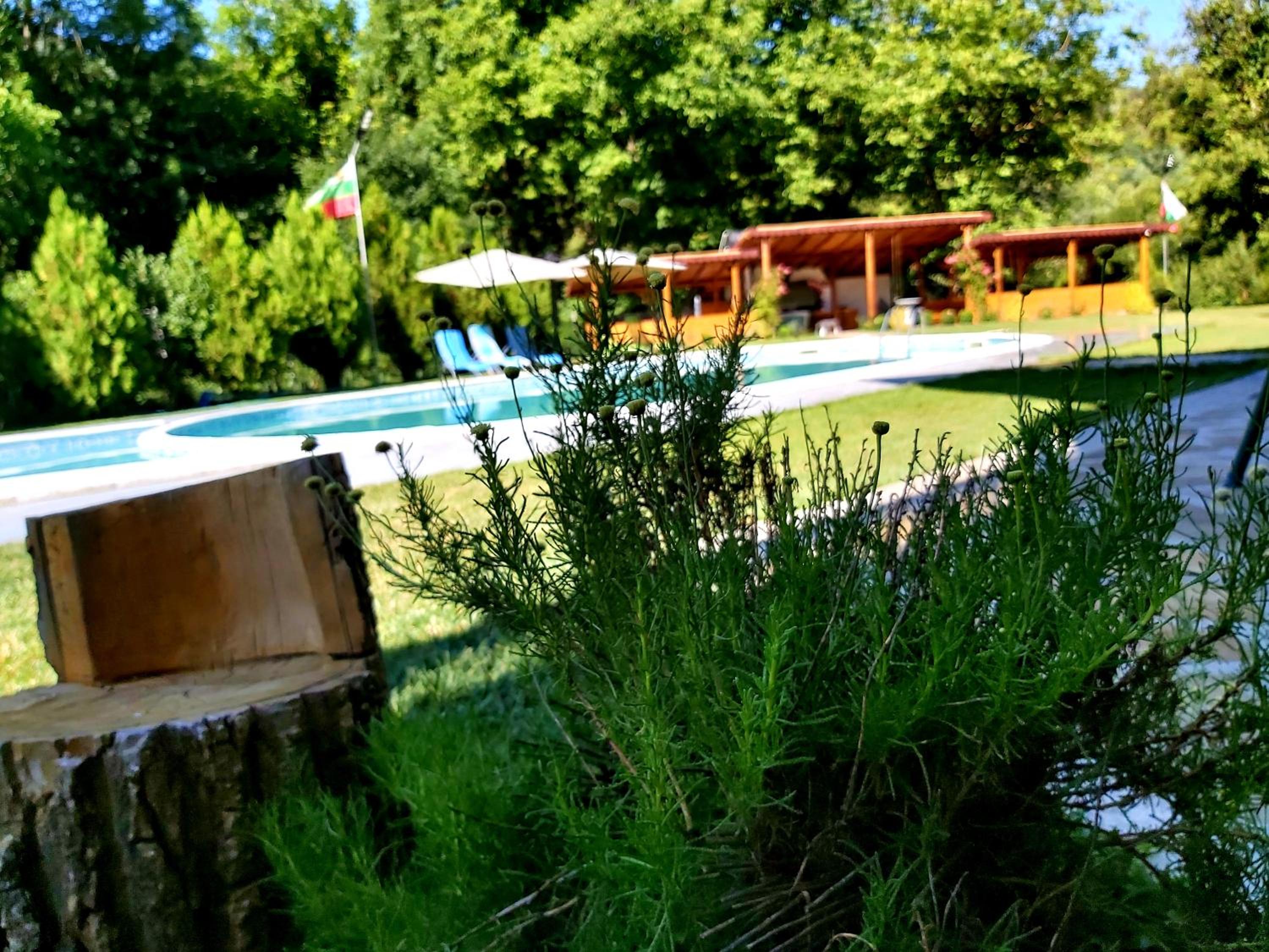Hotel Aleksandrina