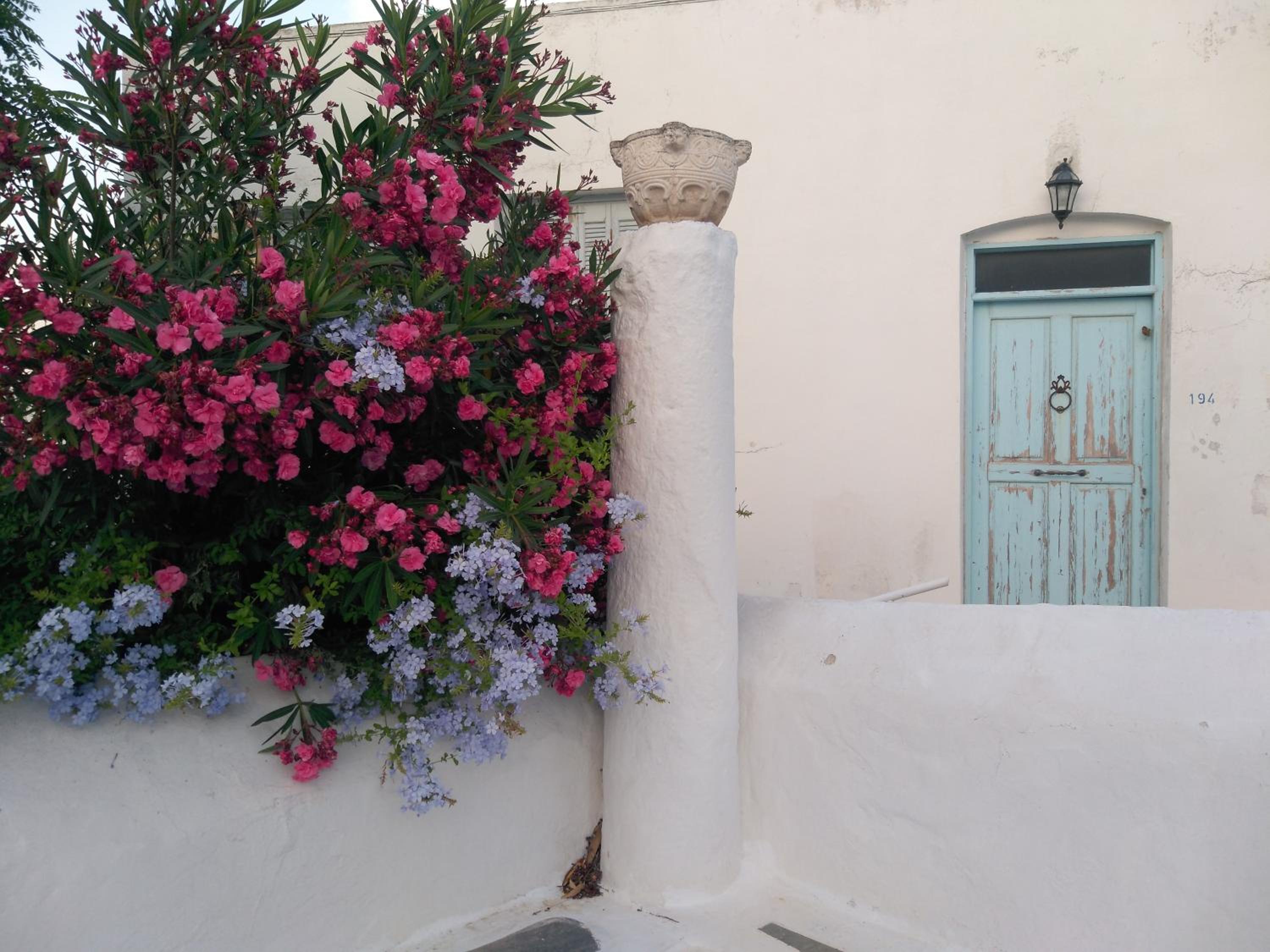 Photo 41