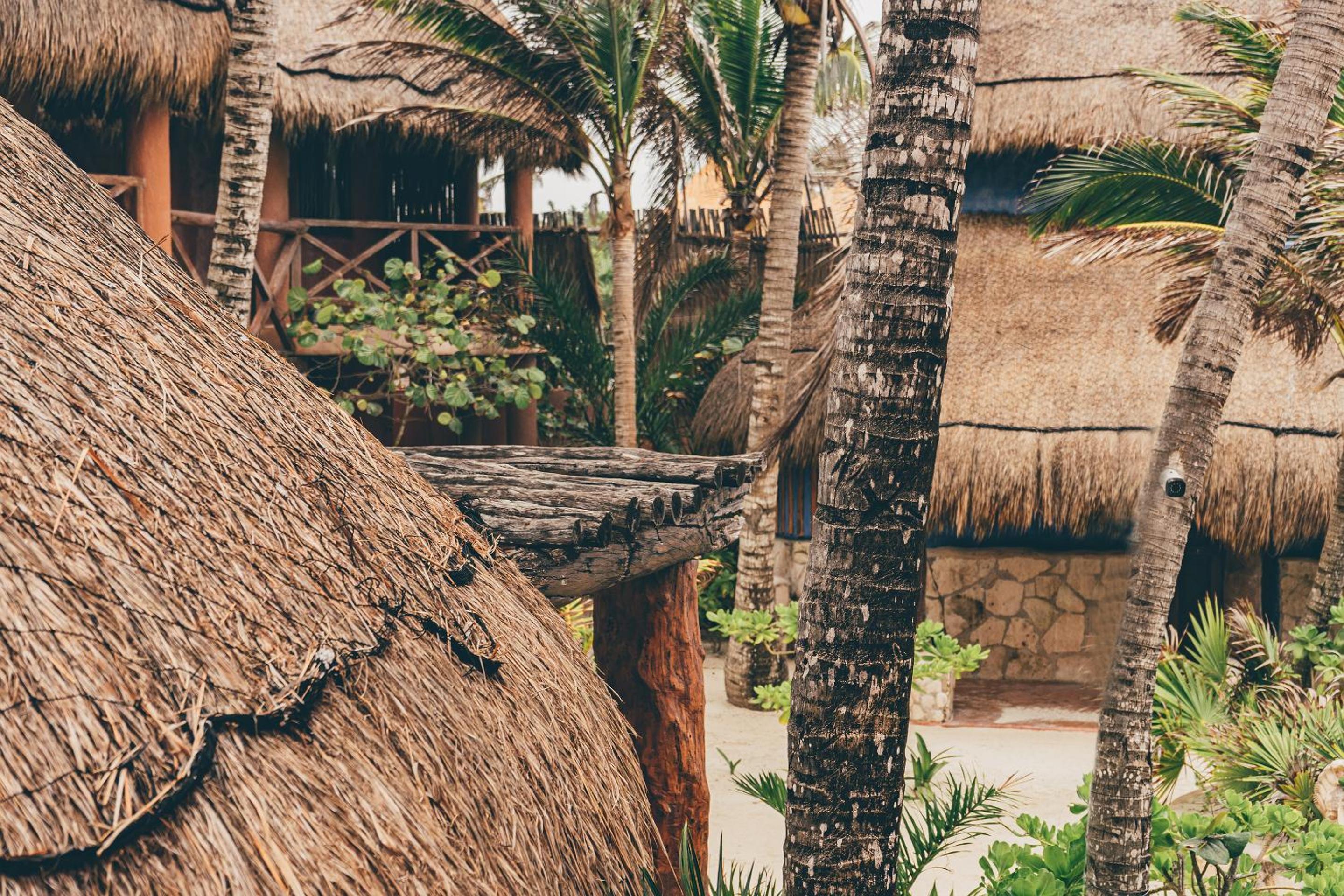 Foto 120 de 201 de La Conchita Tulum