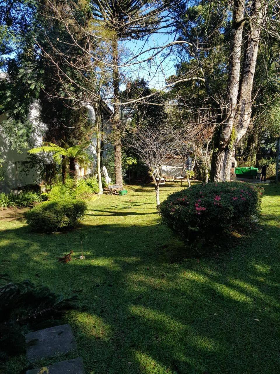Photo 26
