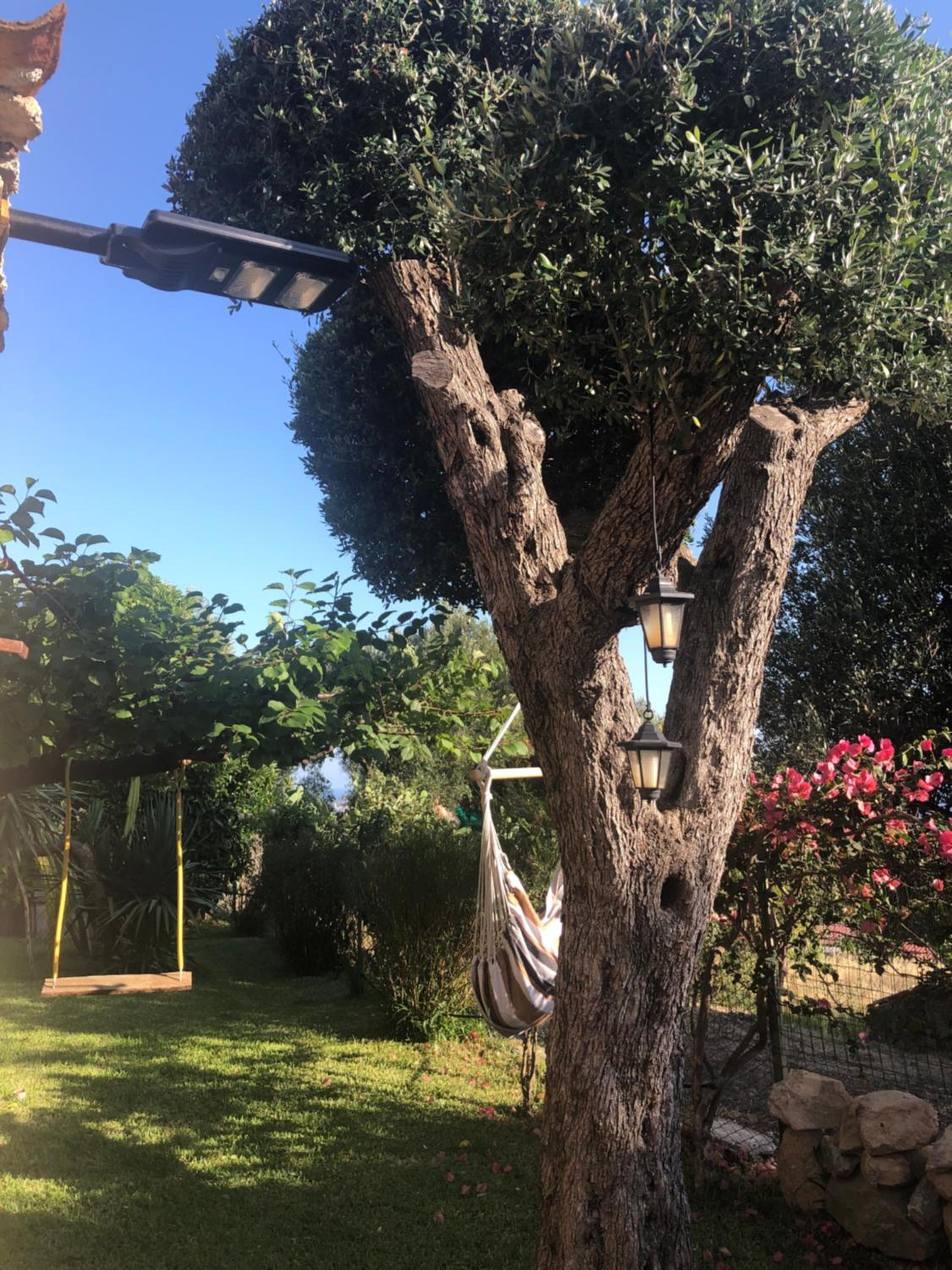 Il Vicolo Caprioli view 3
