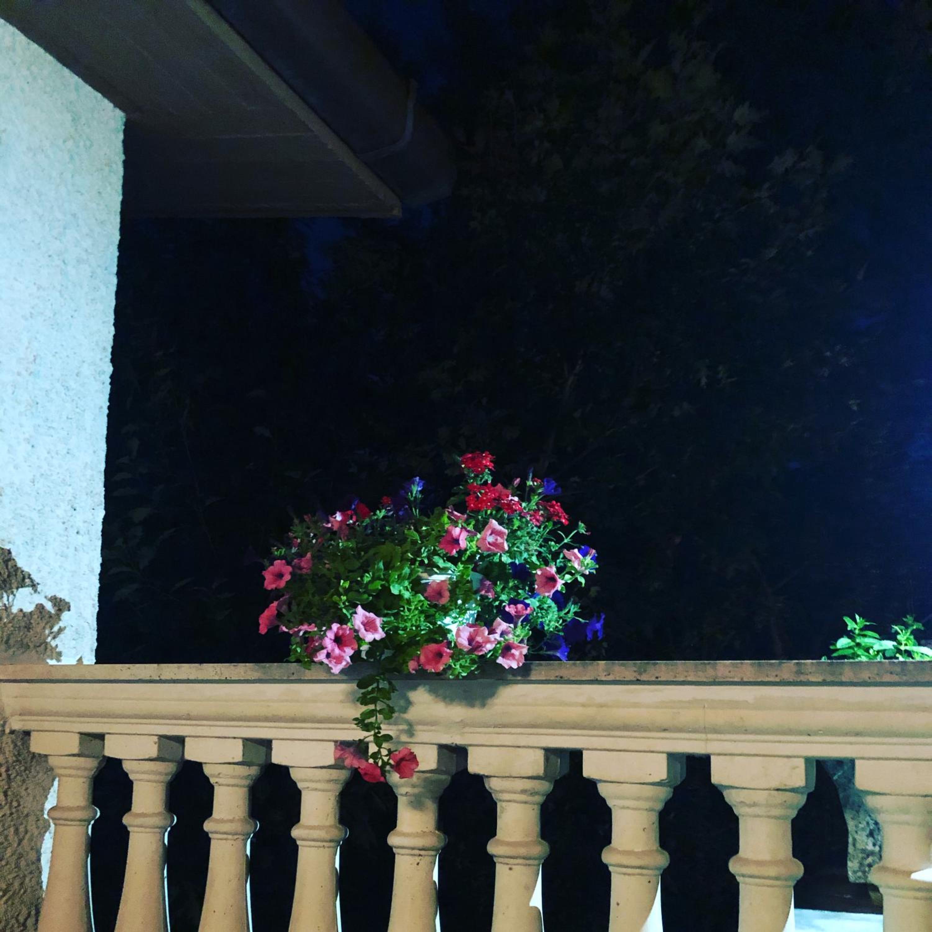 Photo 46
