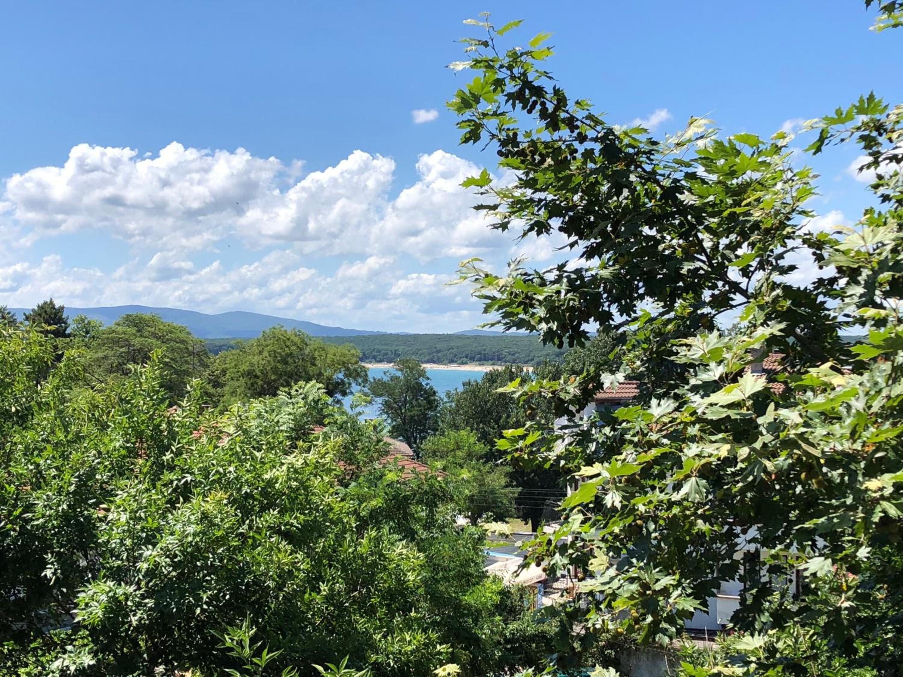 Borko Guest House