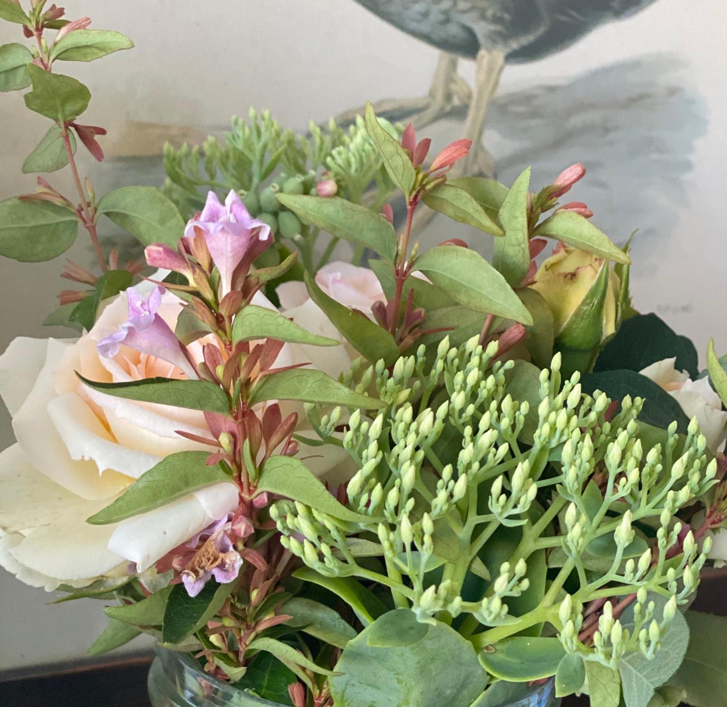 Green House in campagna - Property Image 15