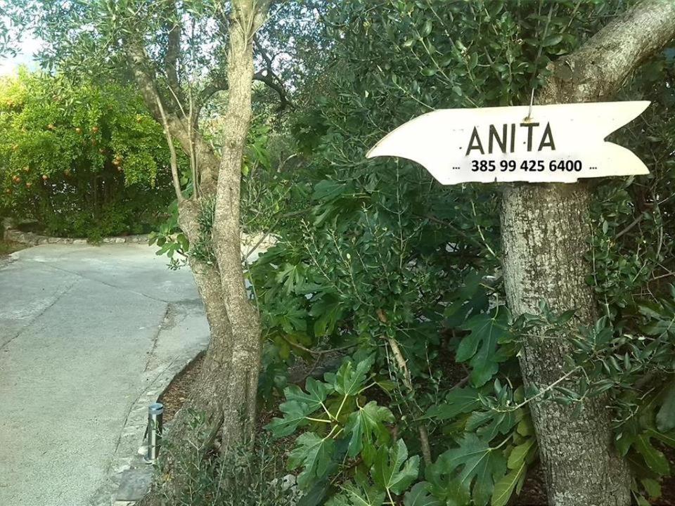 apartmani ANITA, Korčula view 4