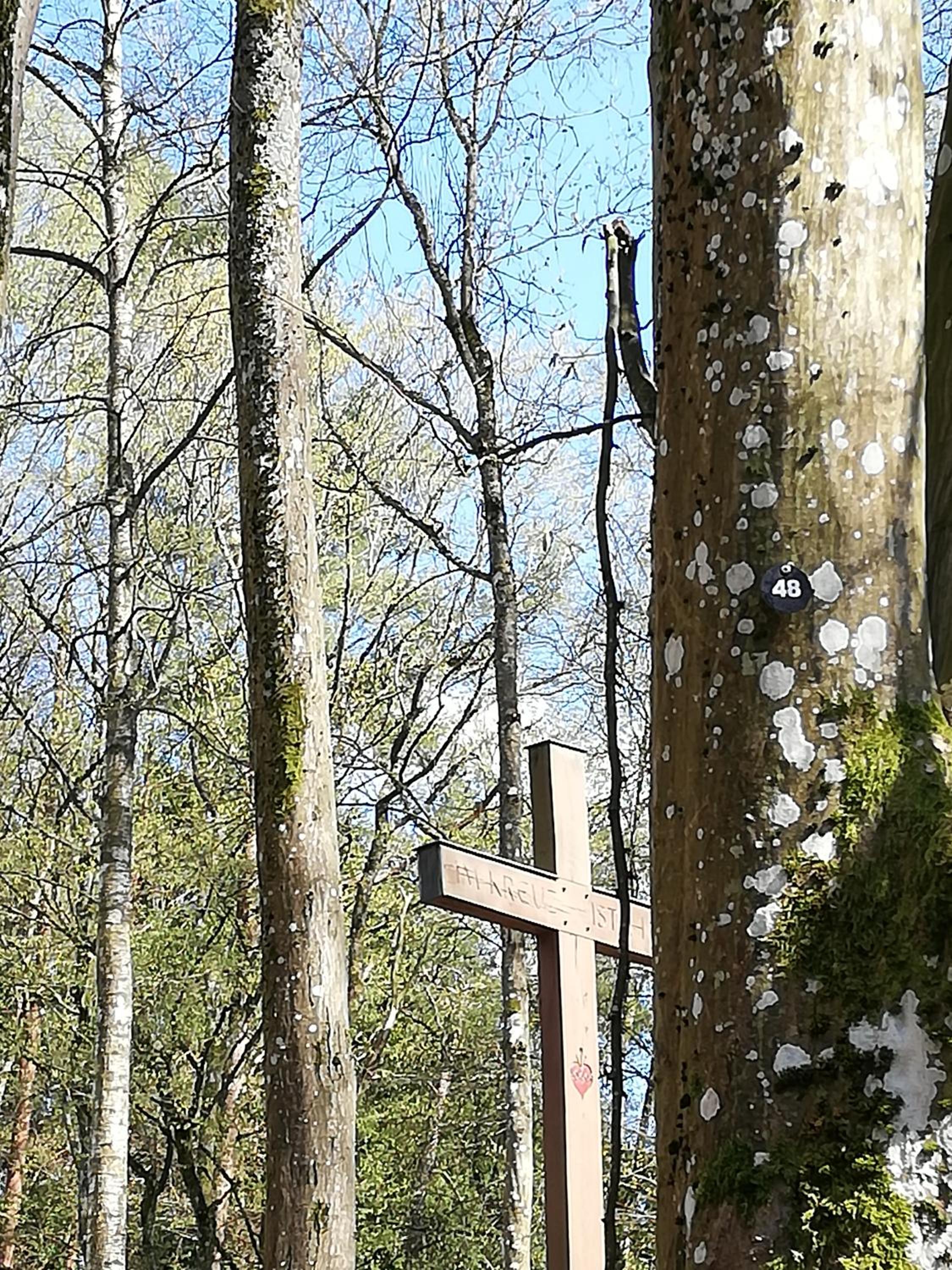 Photo 18