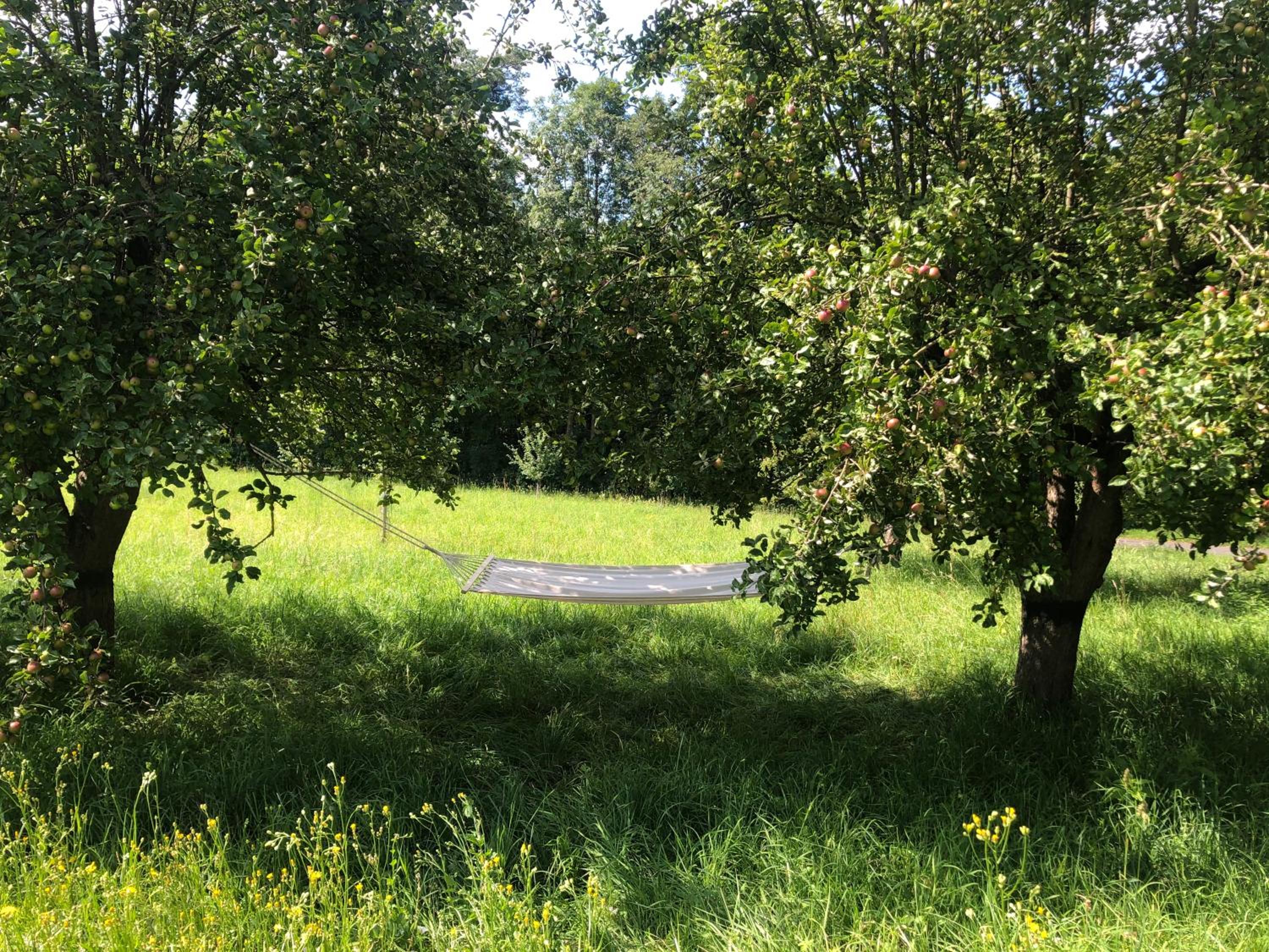Sonnenhof