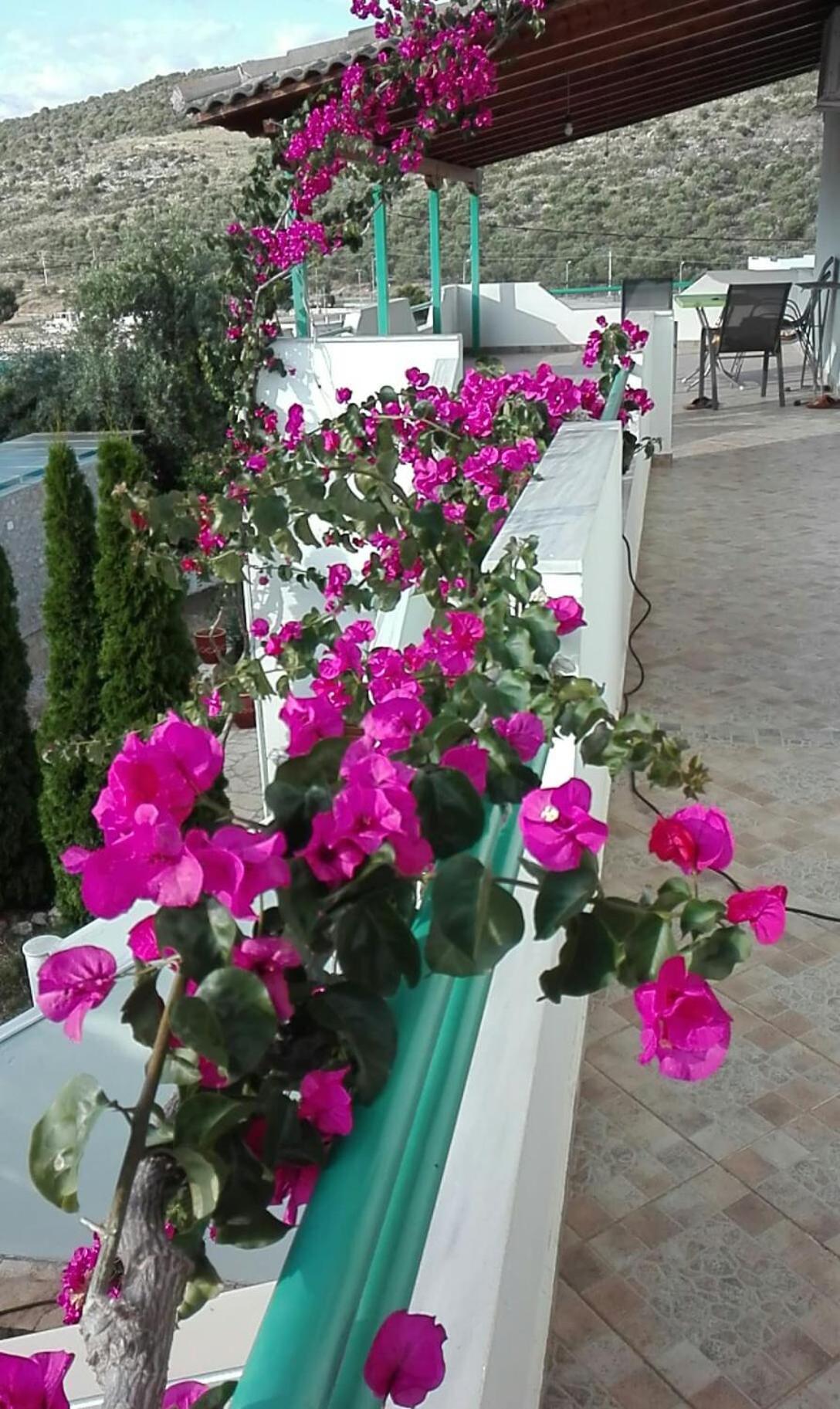 Baci Apartments