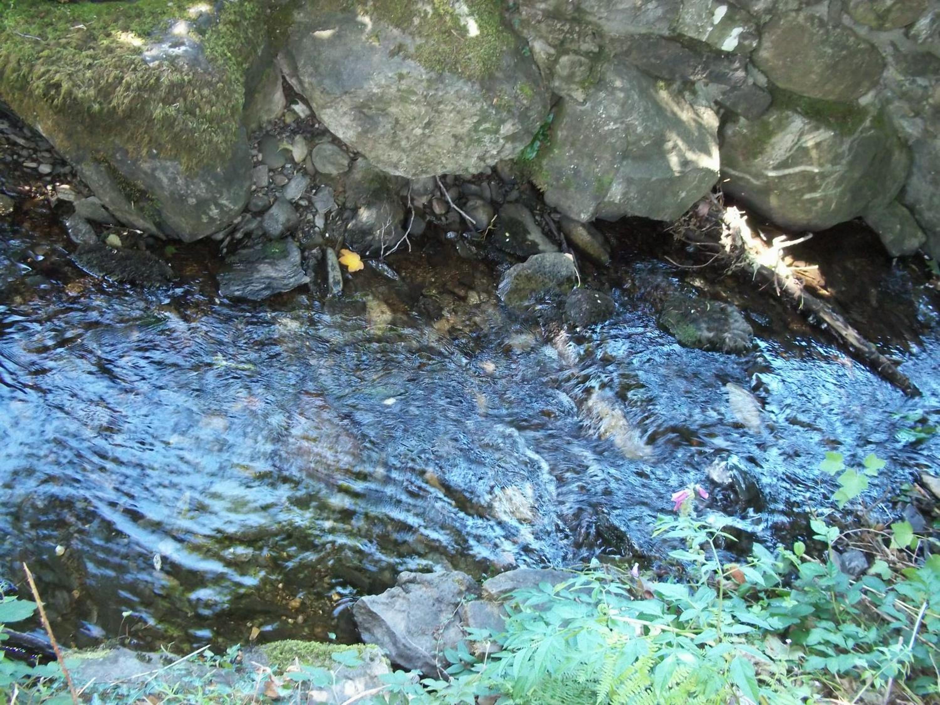 Photo 27