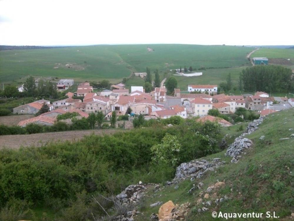 Photo 38