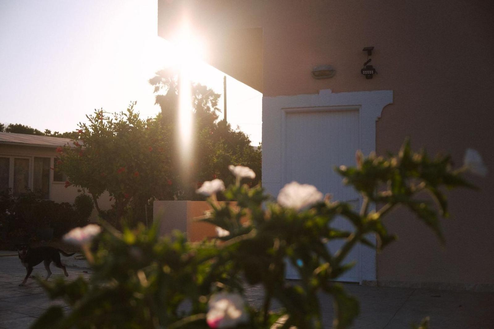 Sevoula studios view 2
