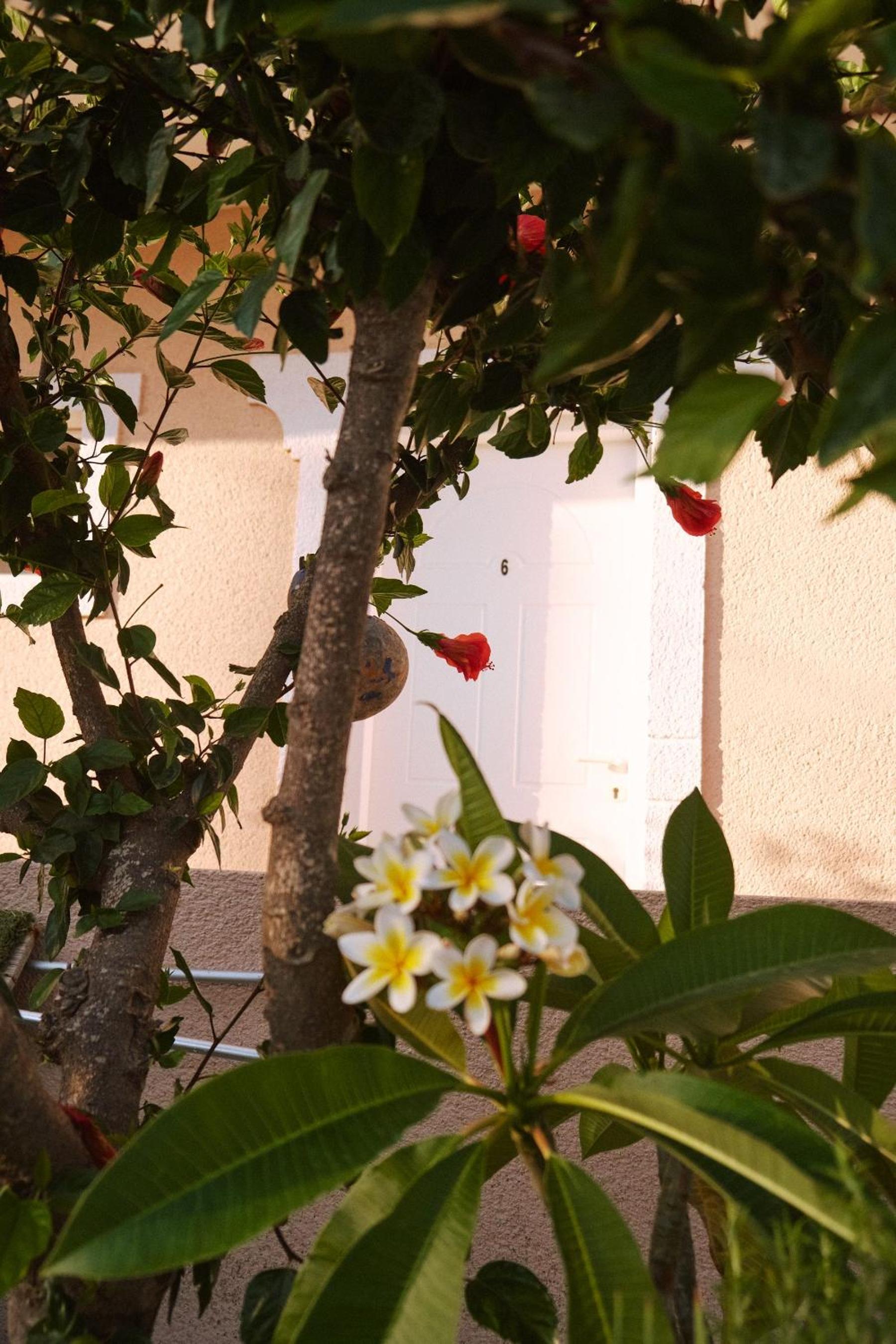 Photo 29