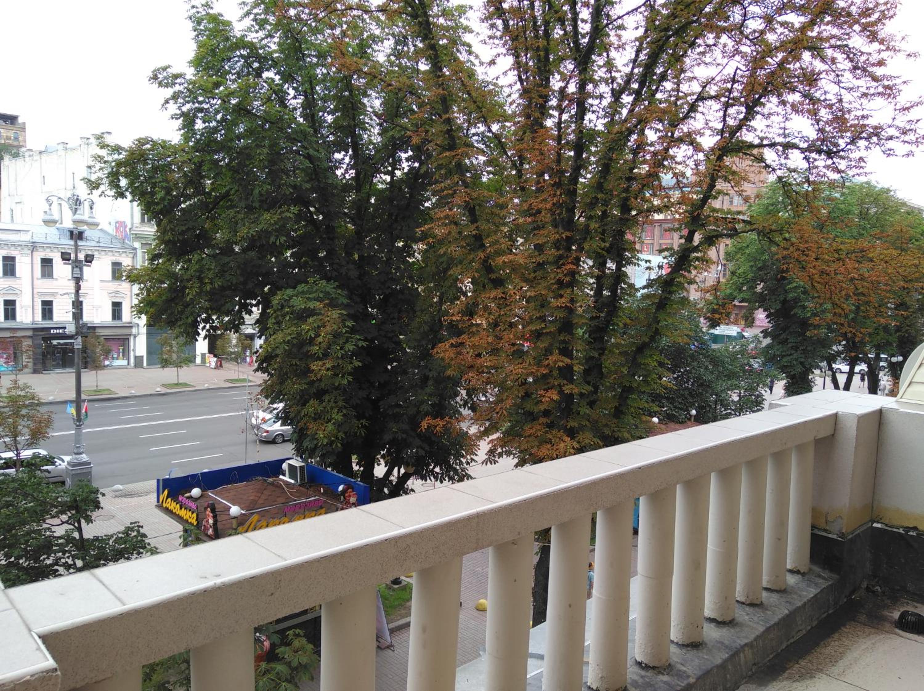 Photo 36