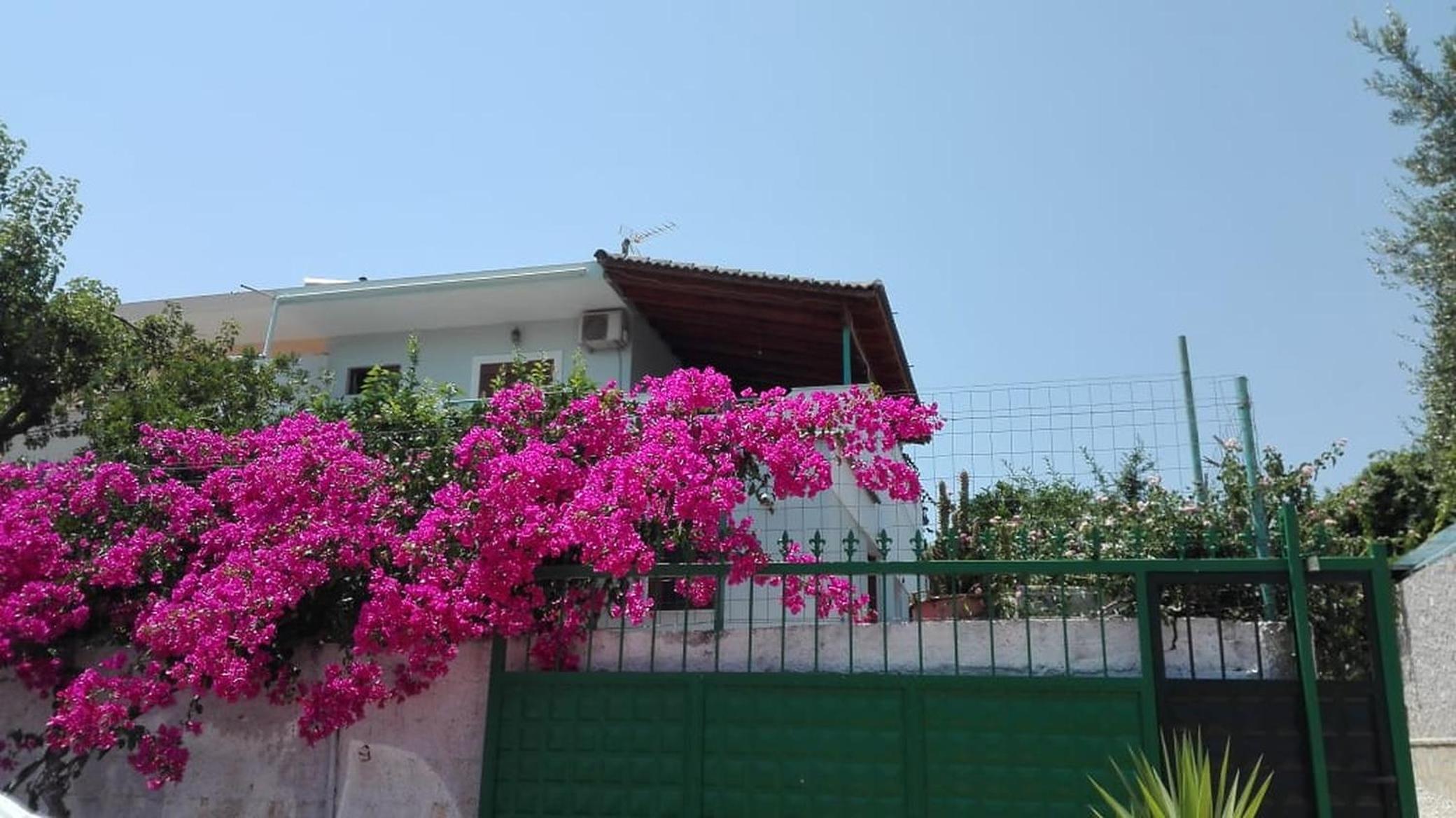 Baci Apartments