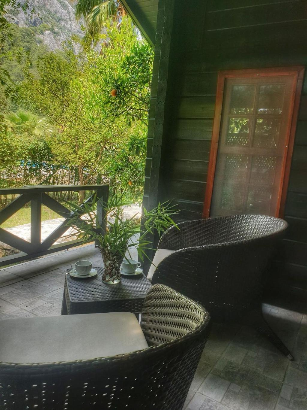 balance & terrace