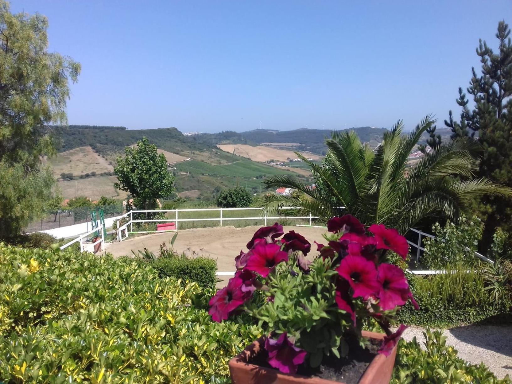 Casinha de campo- Quintinha dos Cavalos- Arruda dos Vinhos