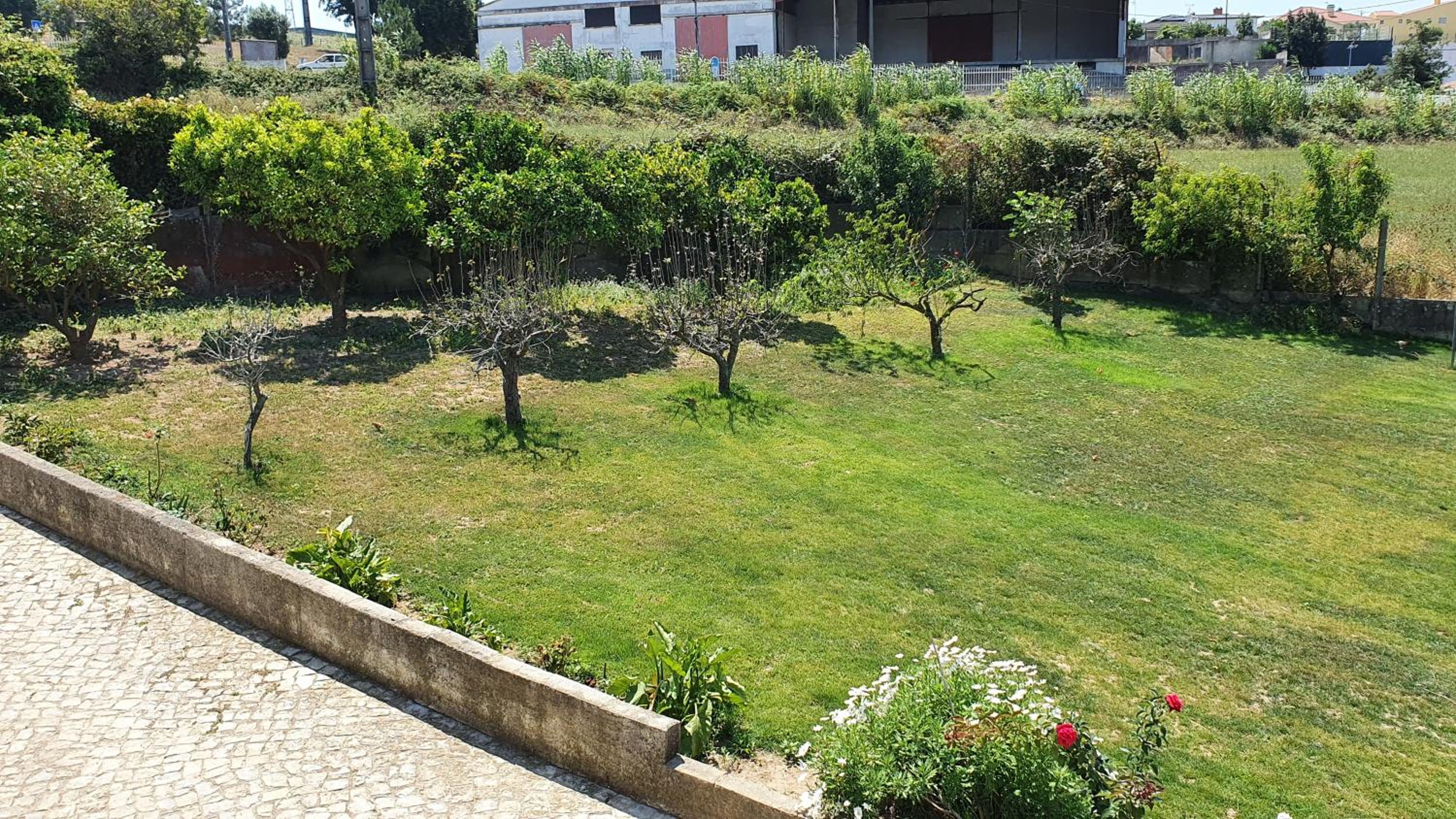 Cargal leiria view 5