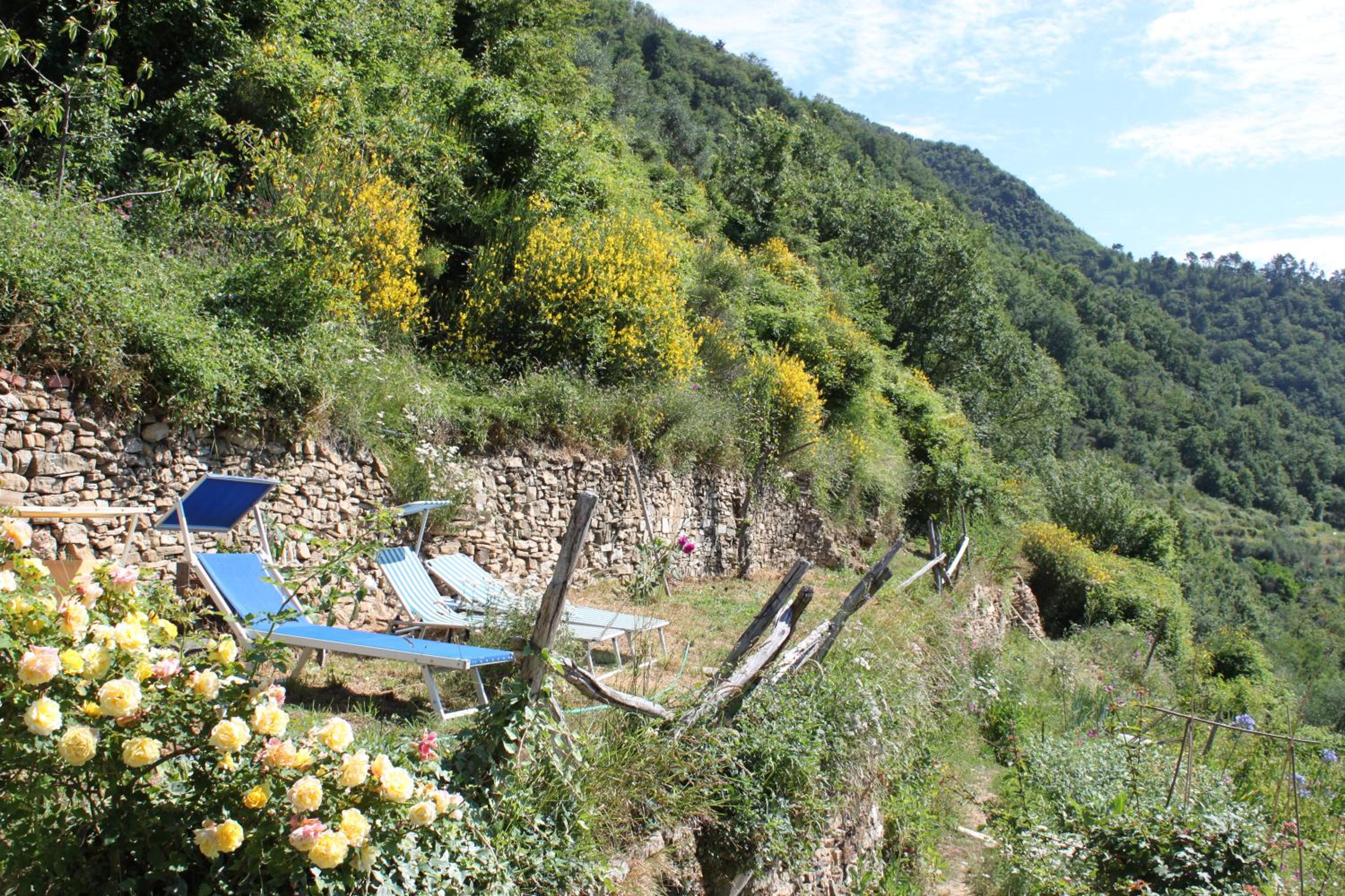 Rural house view 4