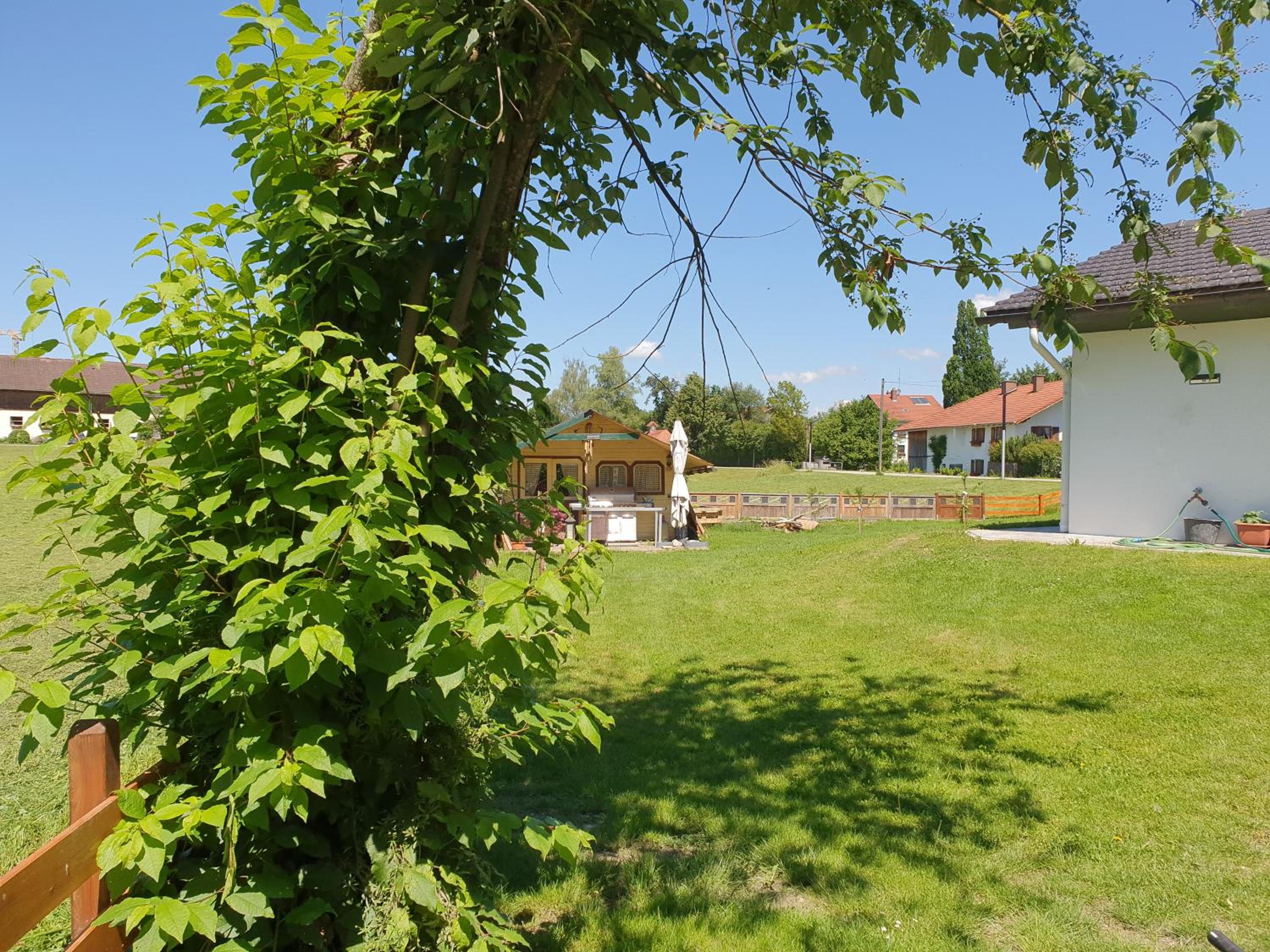 Photo 34