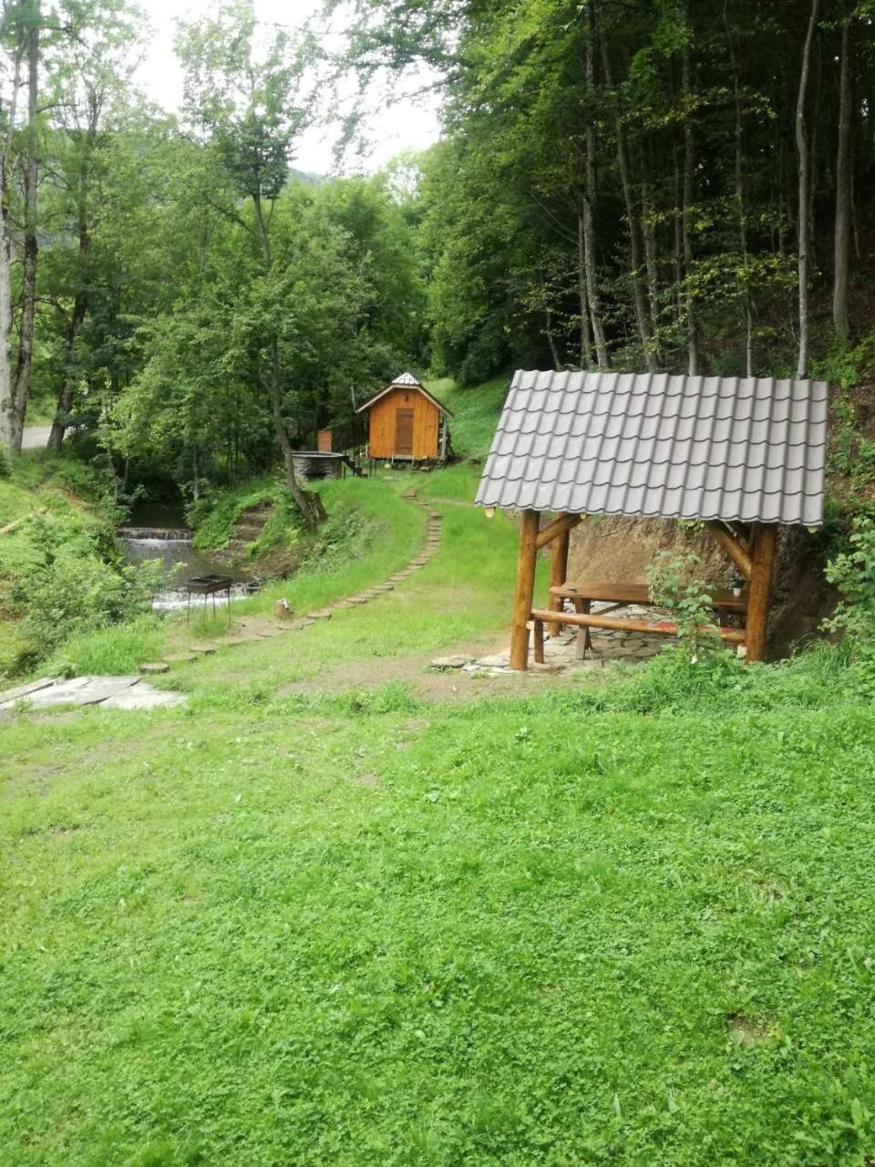 Photo 11