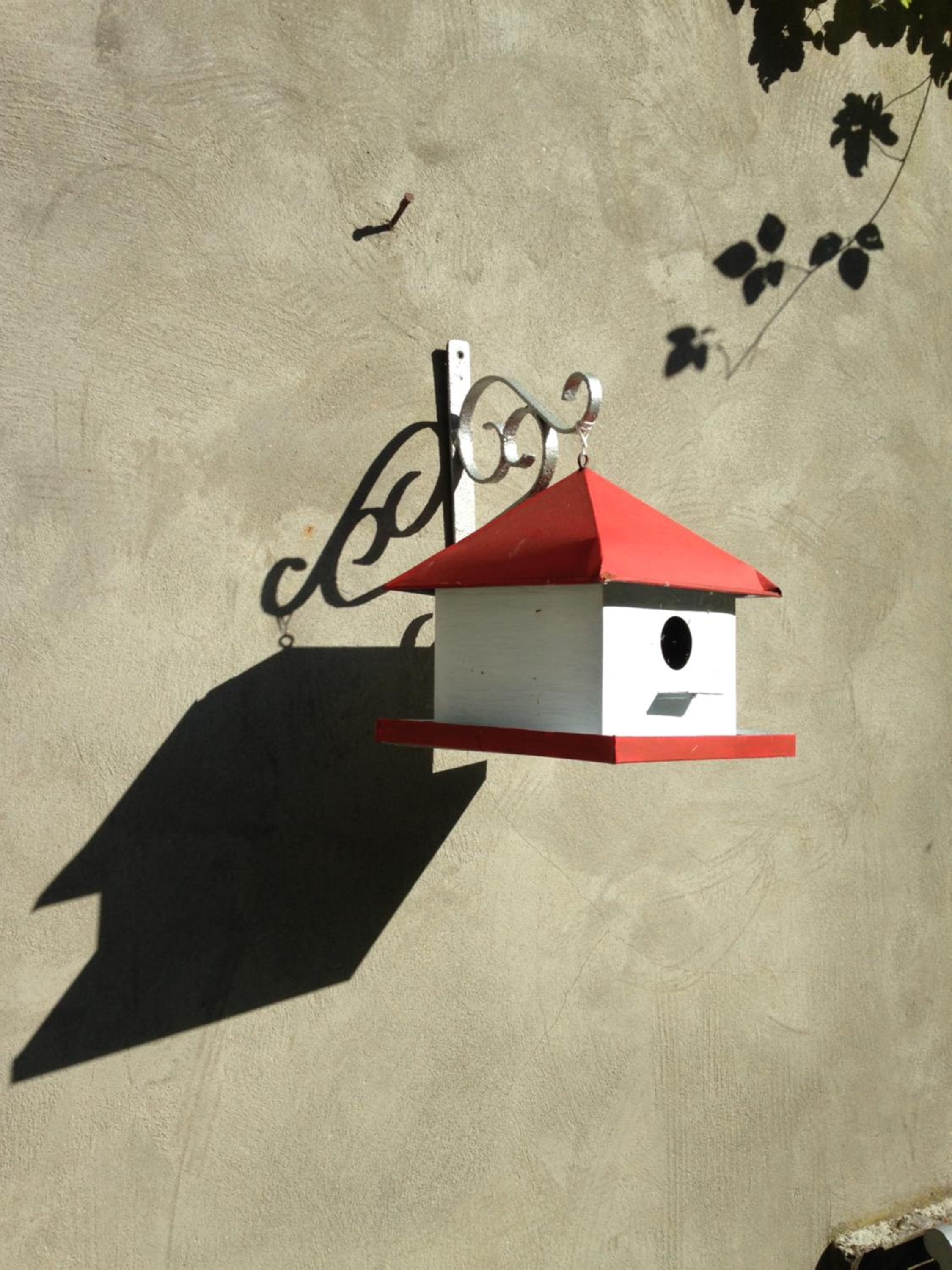L'aire des oiseaux