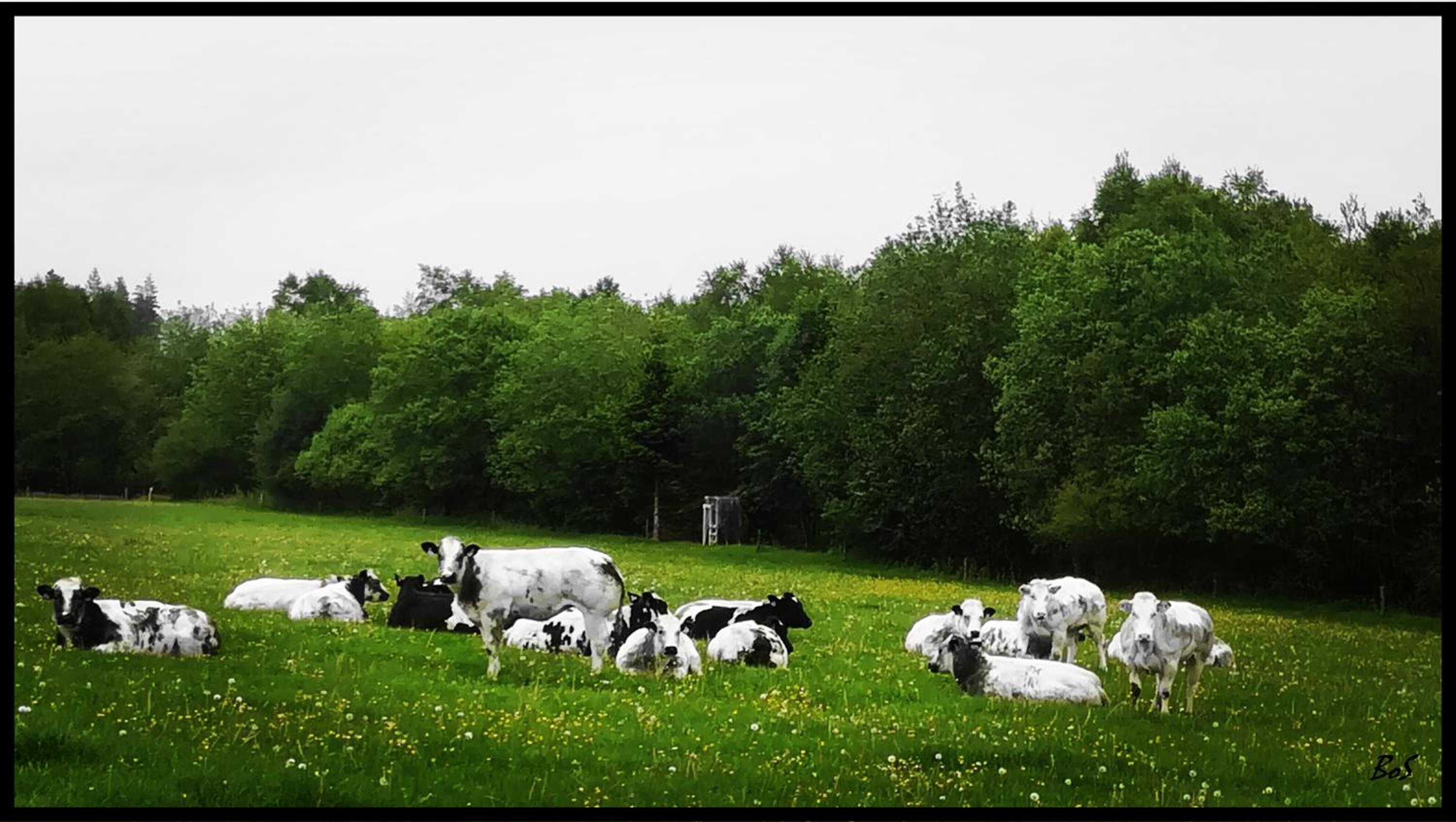 L'Ancienne Forge - Gîte à la ferme