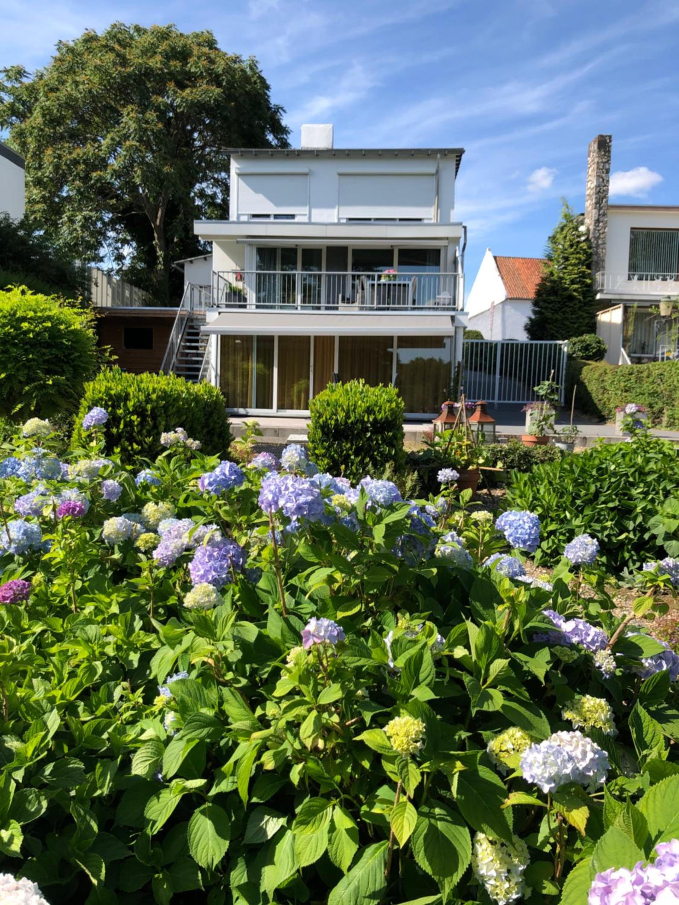 B&B Rosé view 2