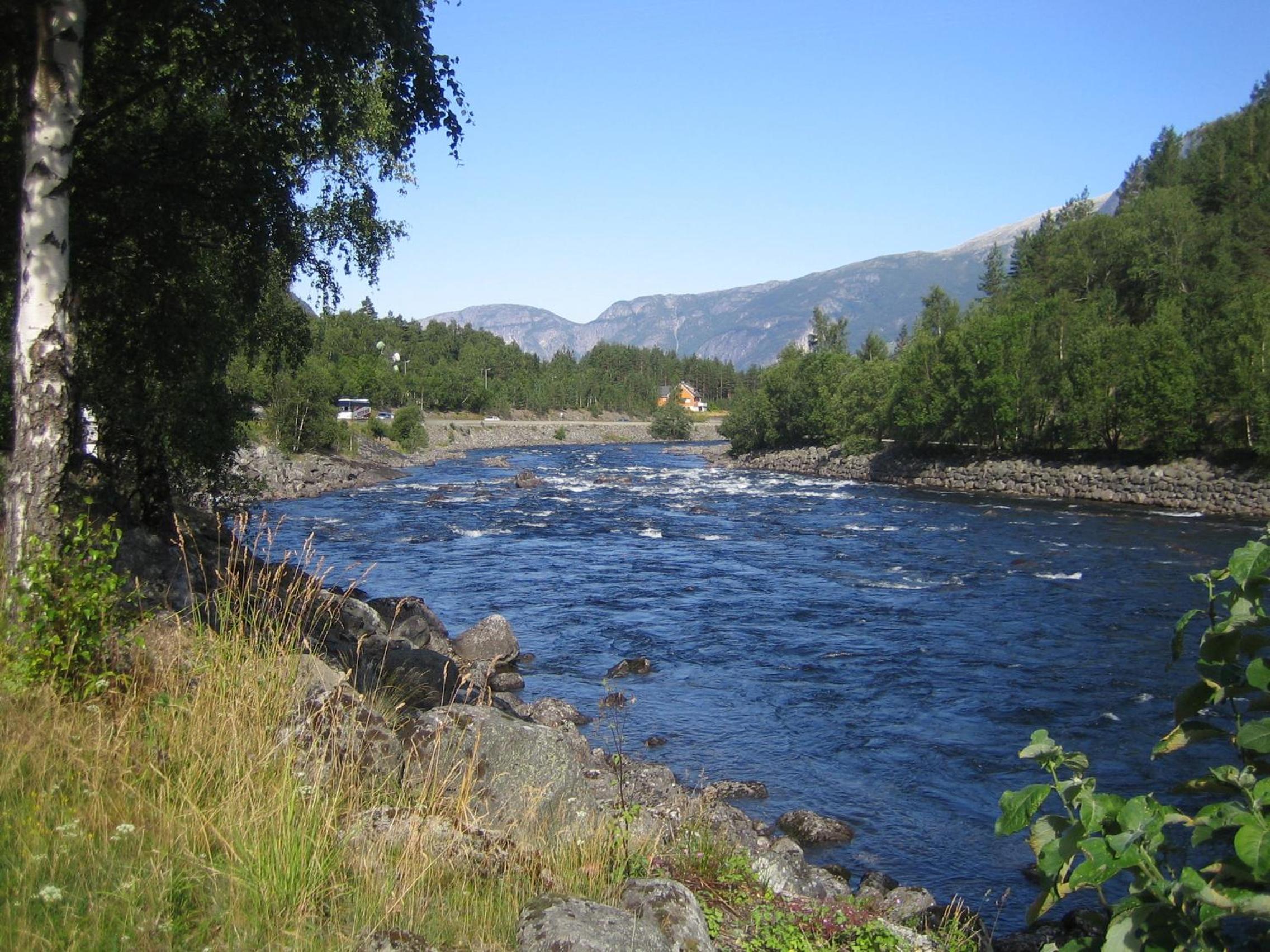 Photo 8