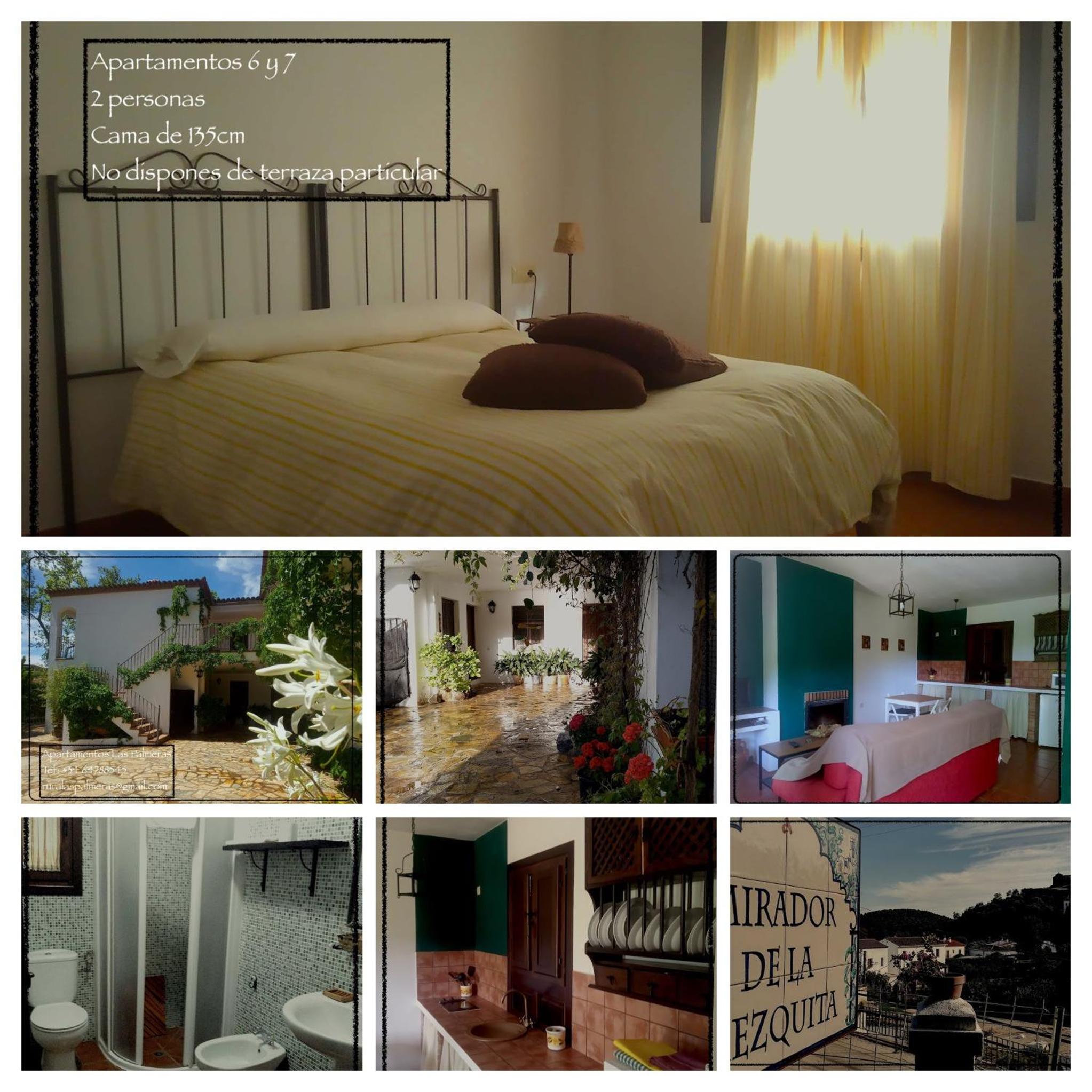 Photo 42