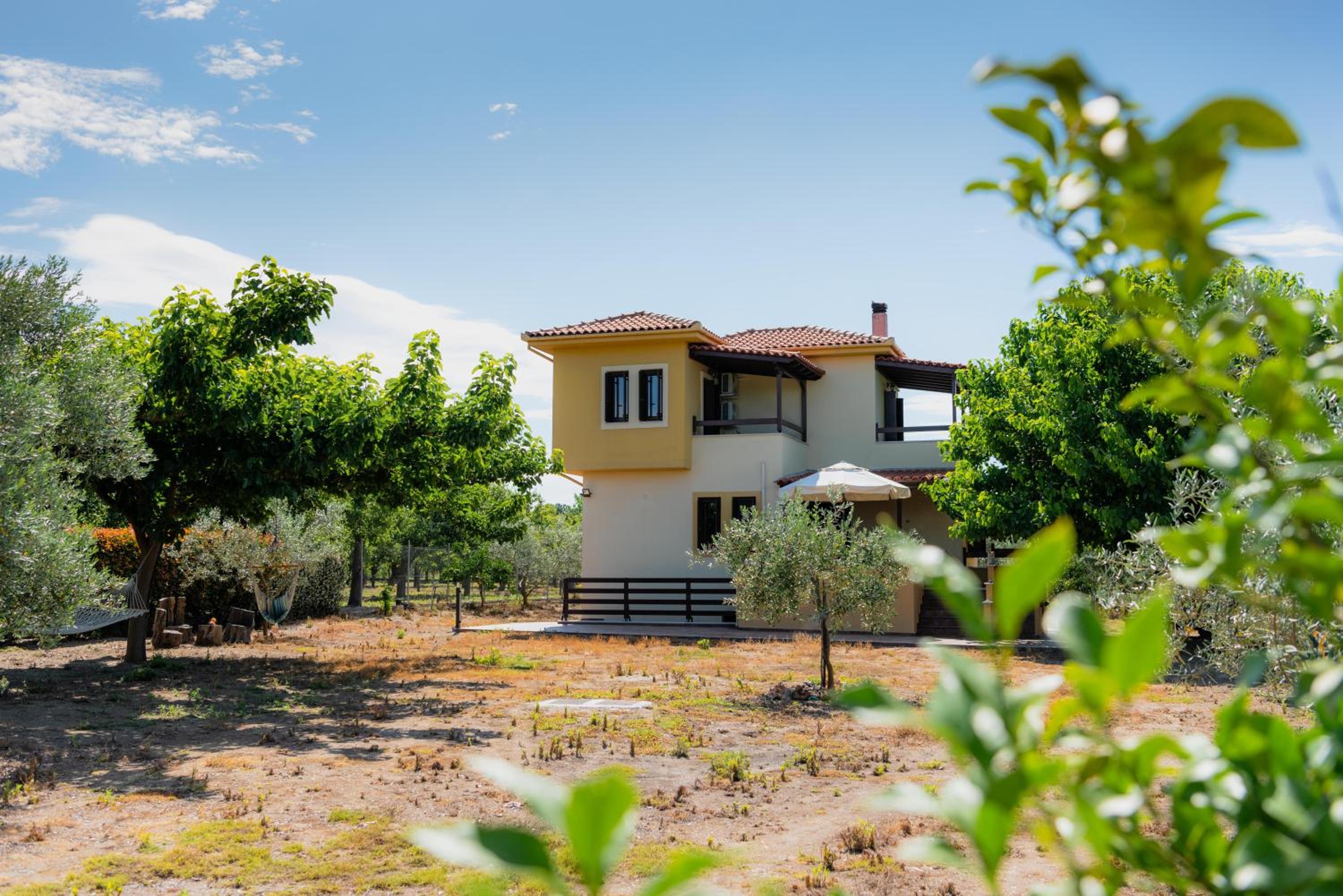 Karavos Grove