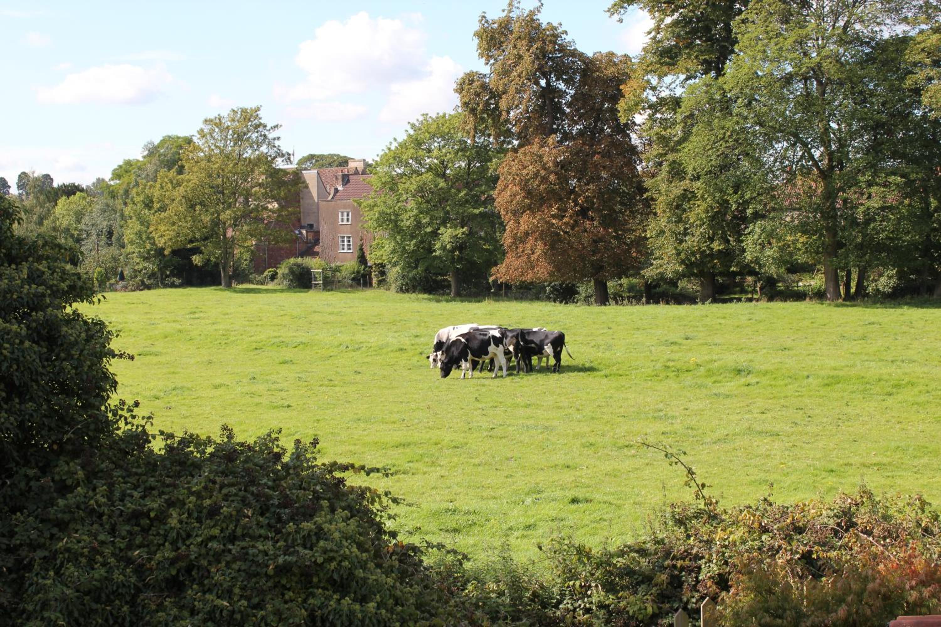 The Coach House
