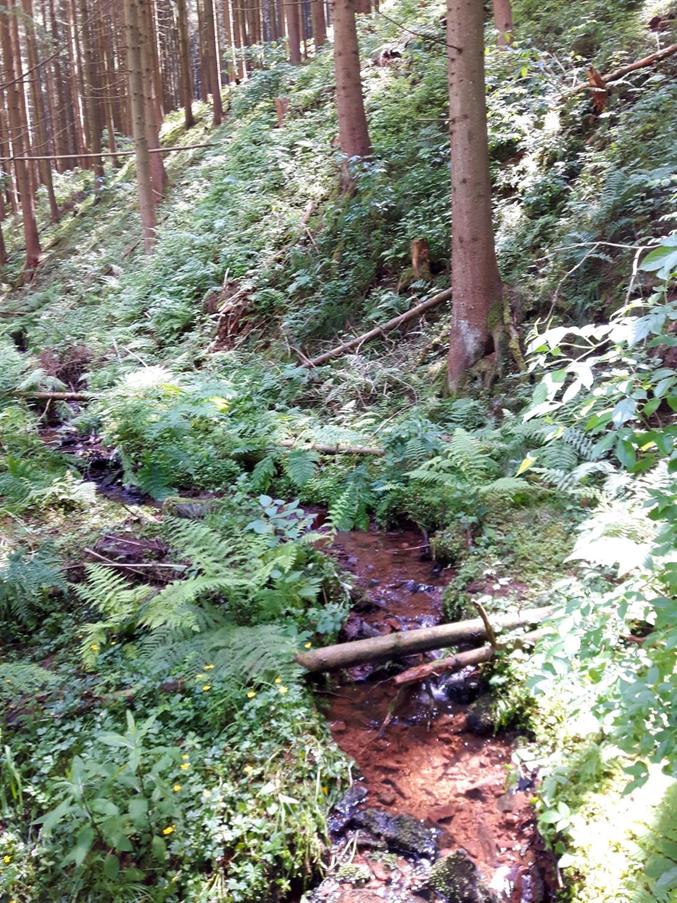 Photo 14