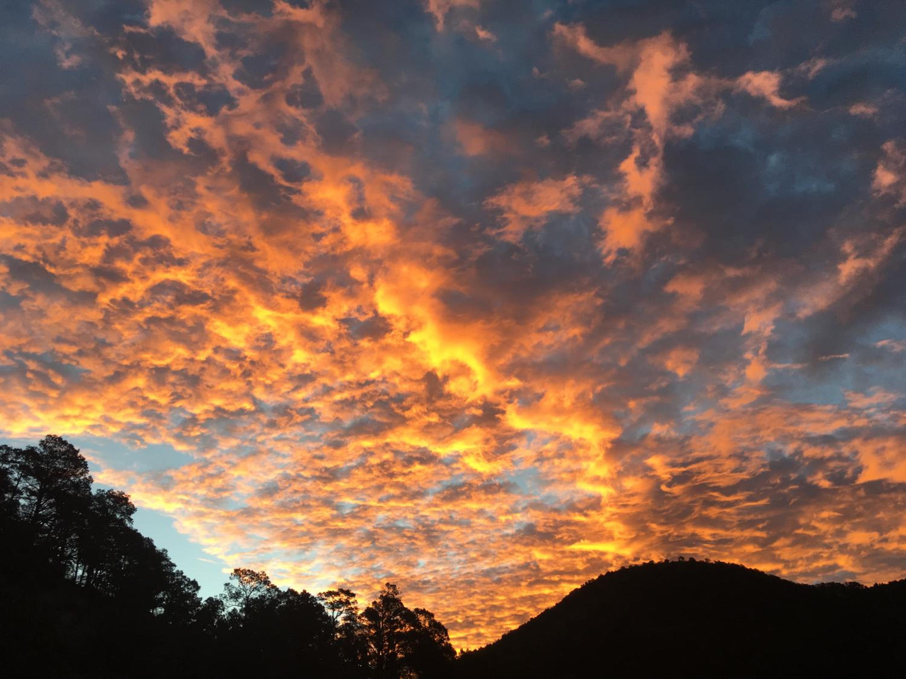 Cloudcroft Hostel view 2
