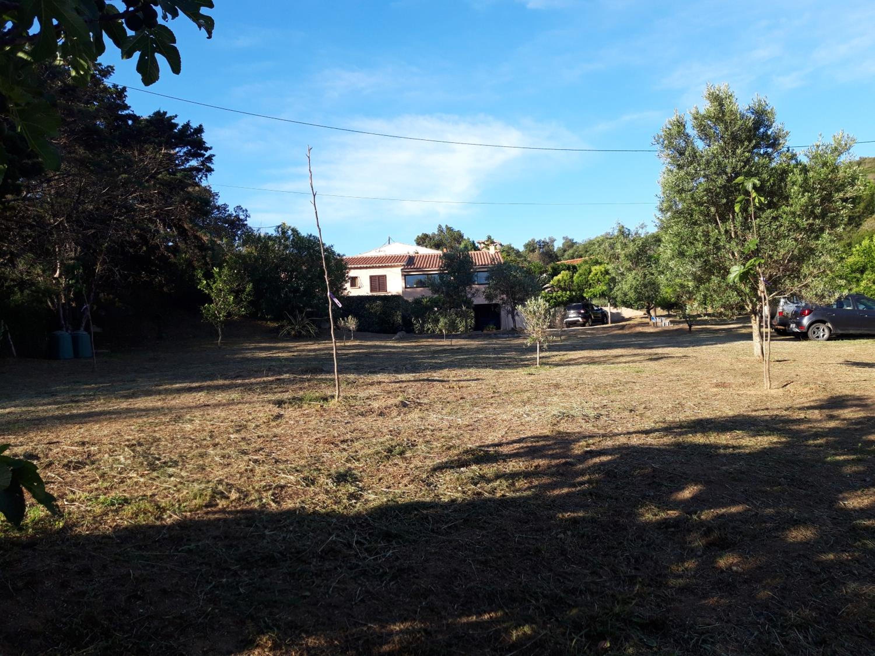 Photo 22