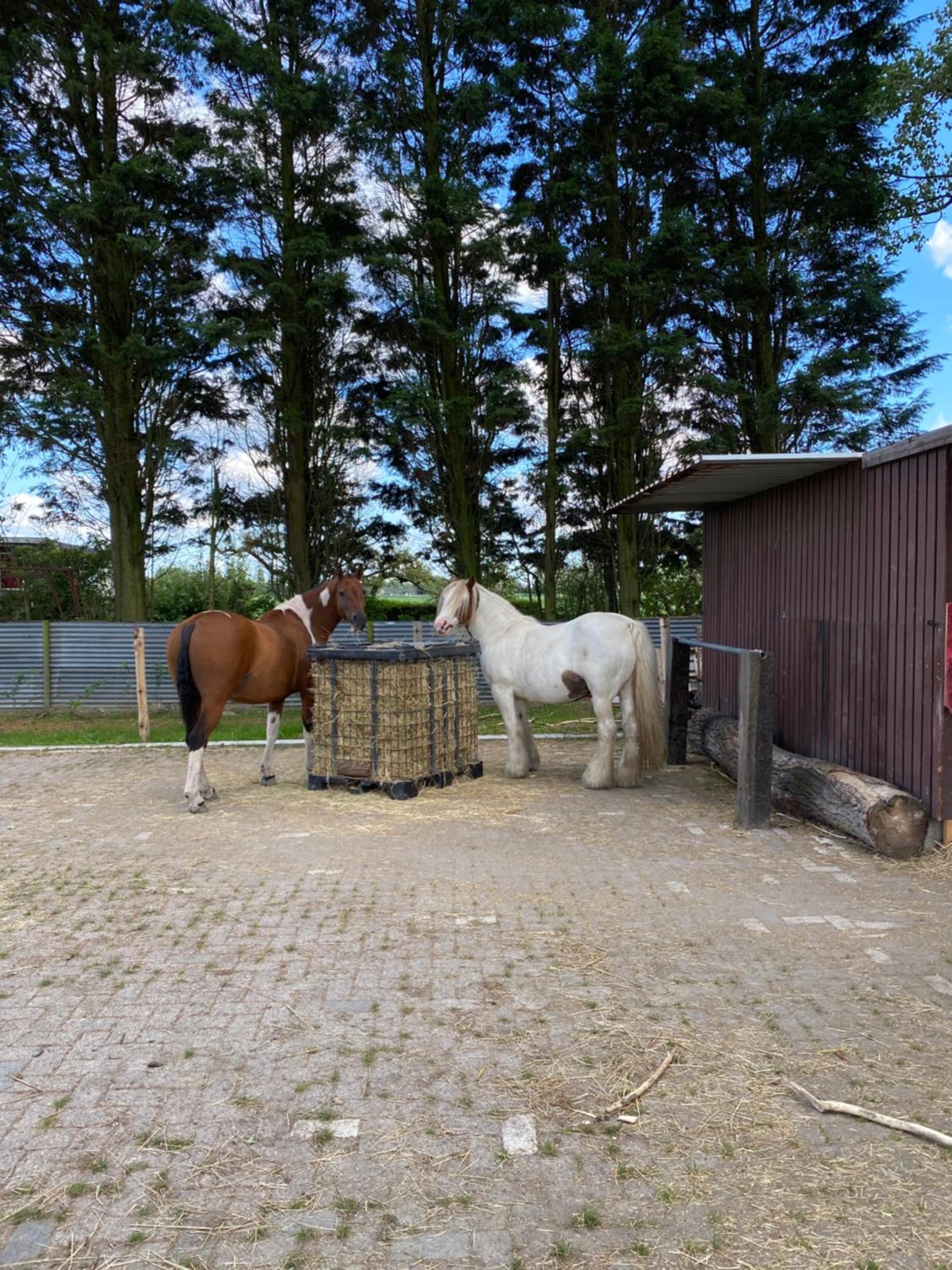Het Windekind view 5