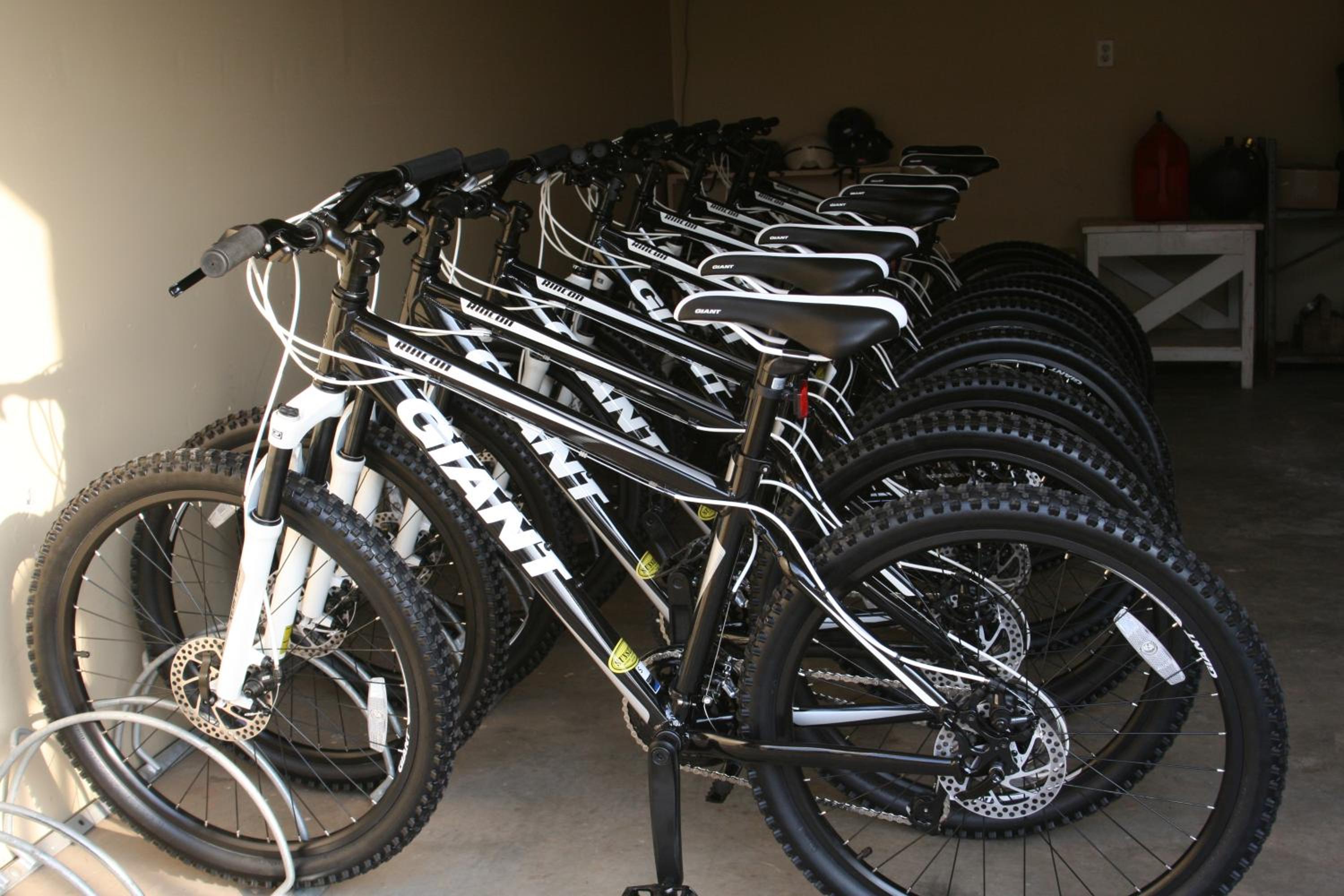 Photo 14