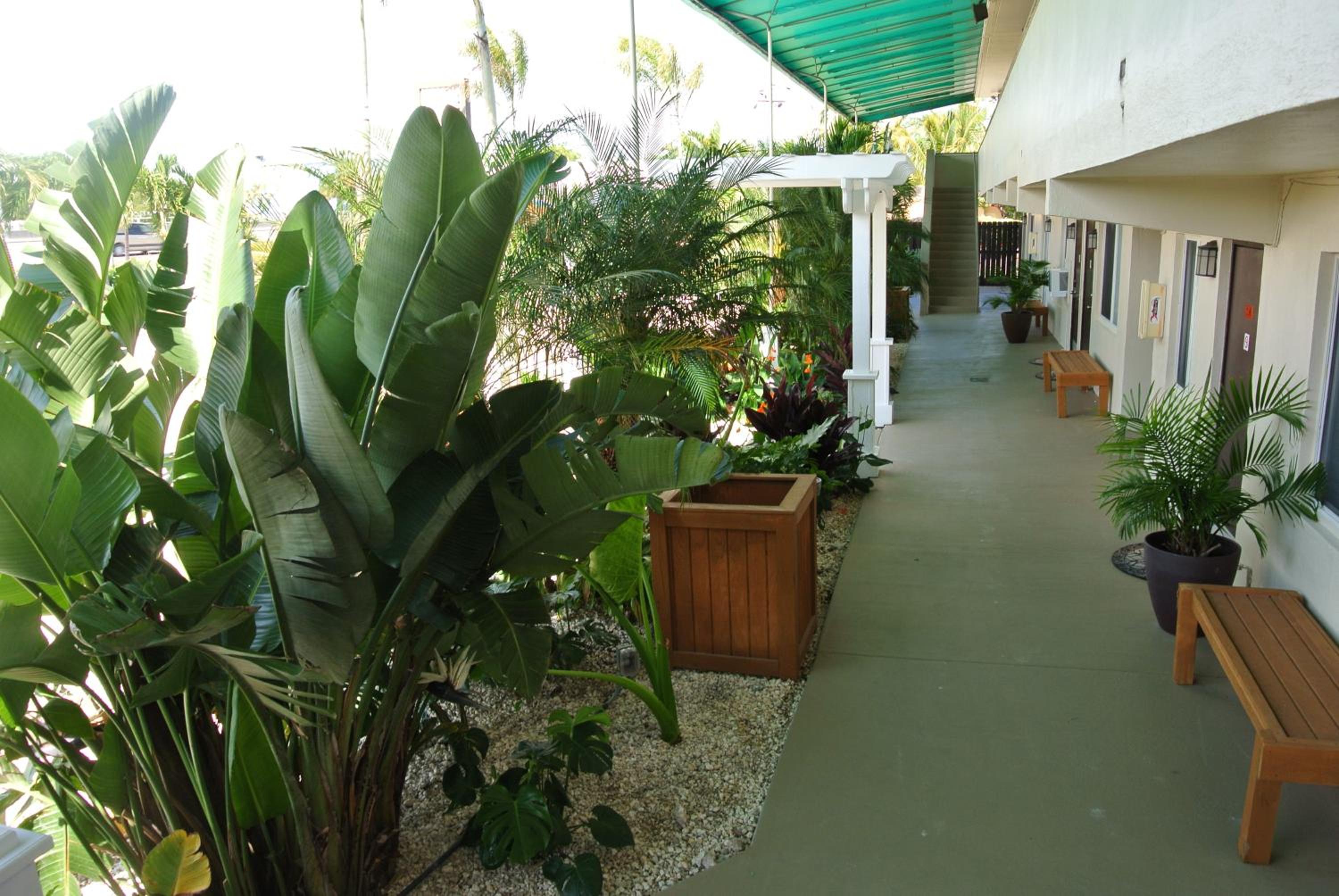 Photo 24
