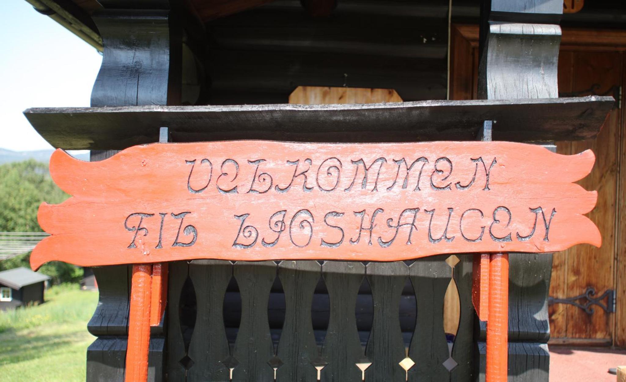 Photo 43