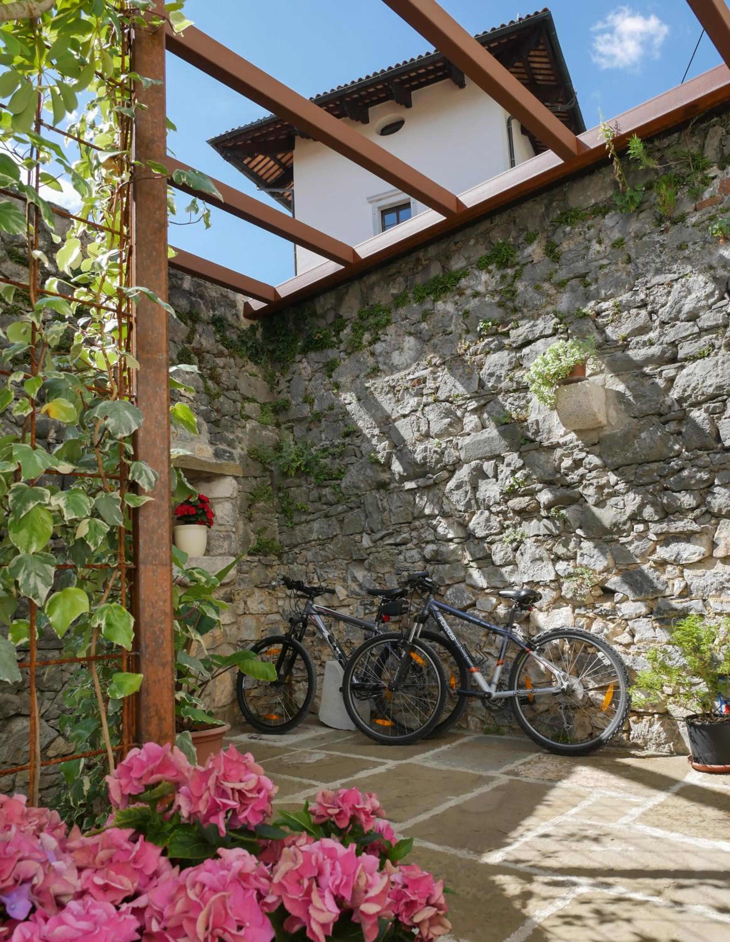 Apartmaji in sobe Odlična hiša Štanjel view 4