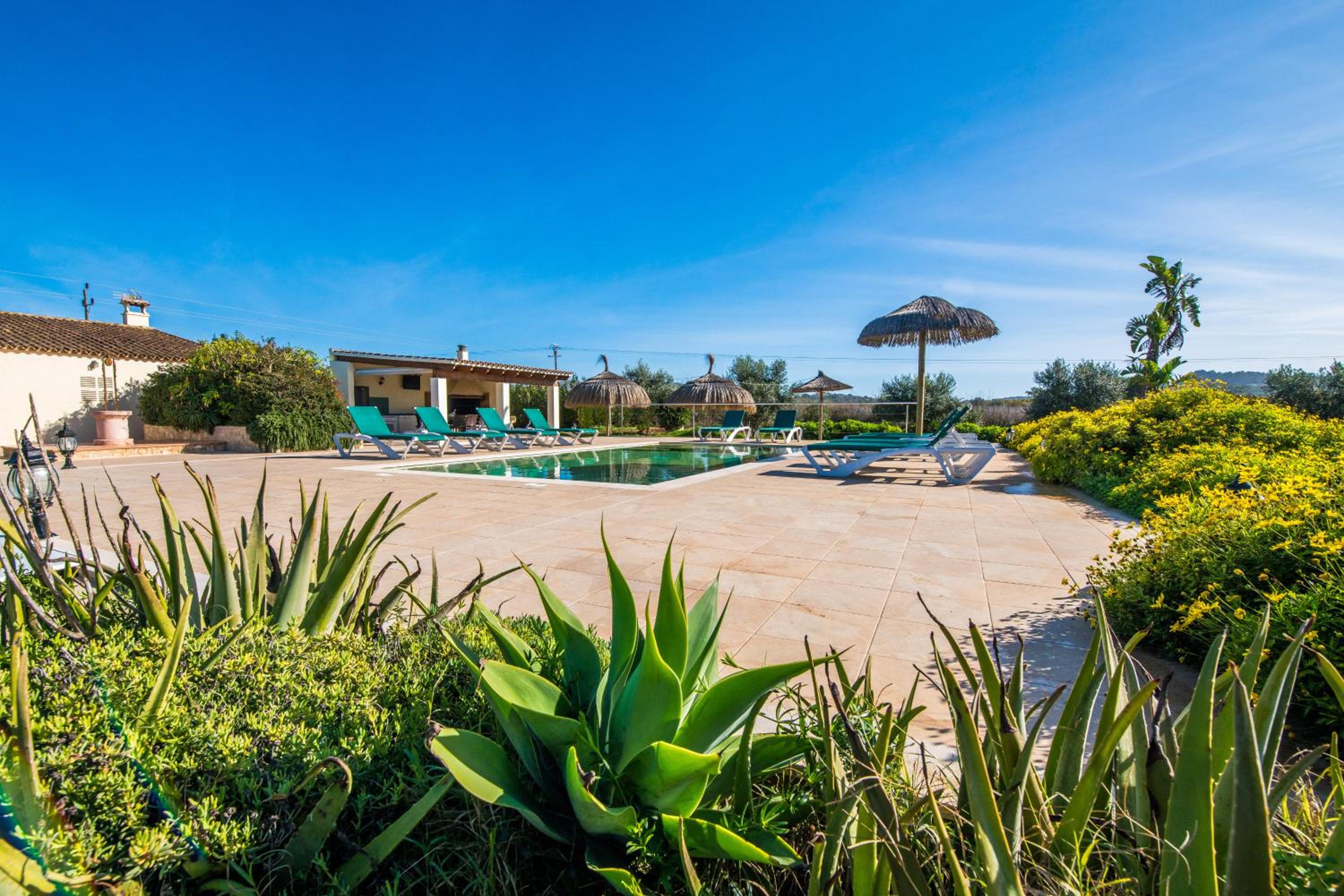 Finca Cas Padrins photo 2
