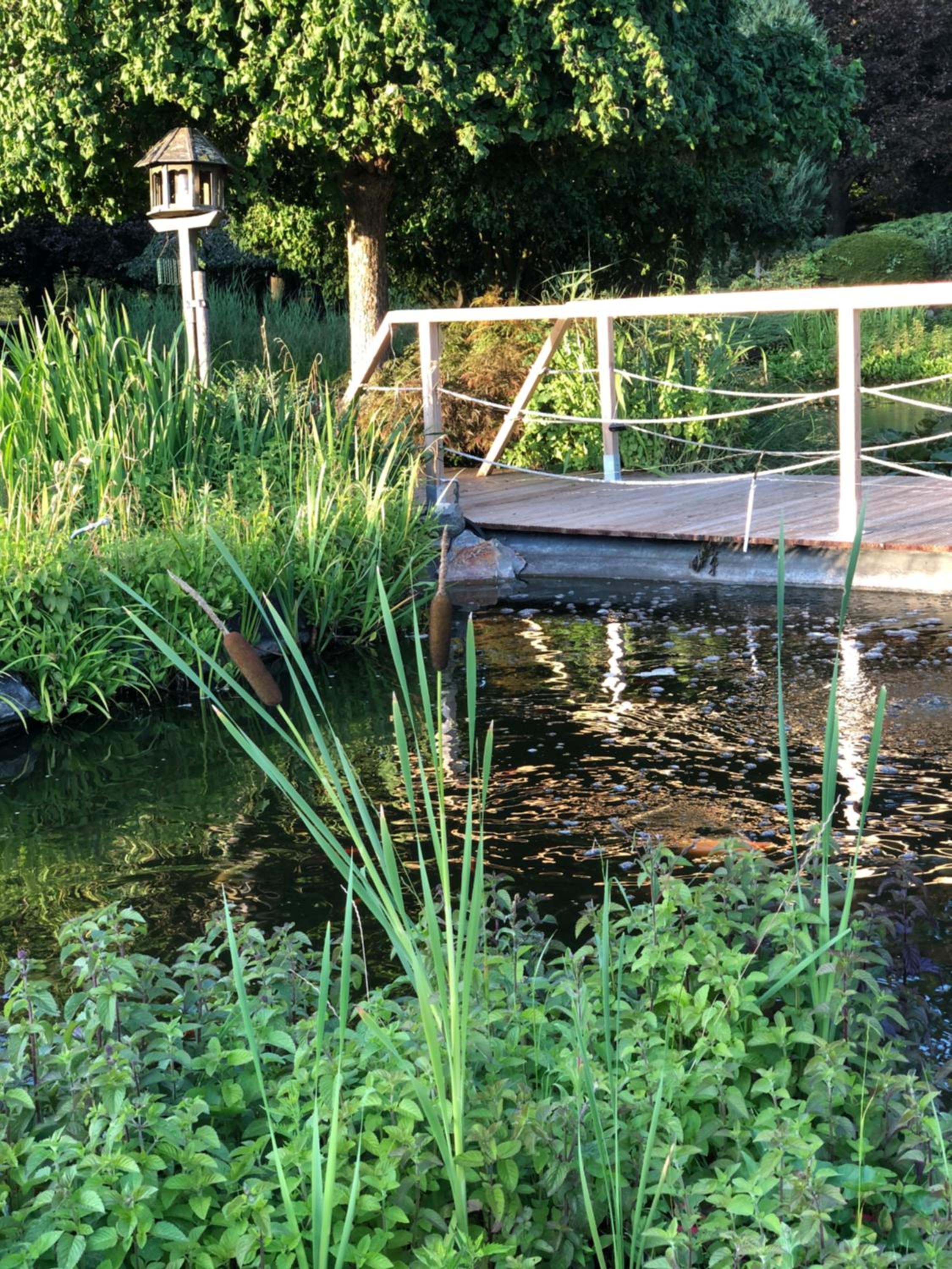 JARDIN DU MARAIS